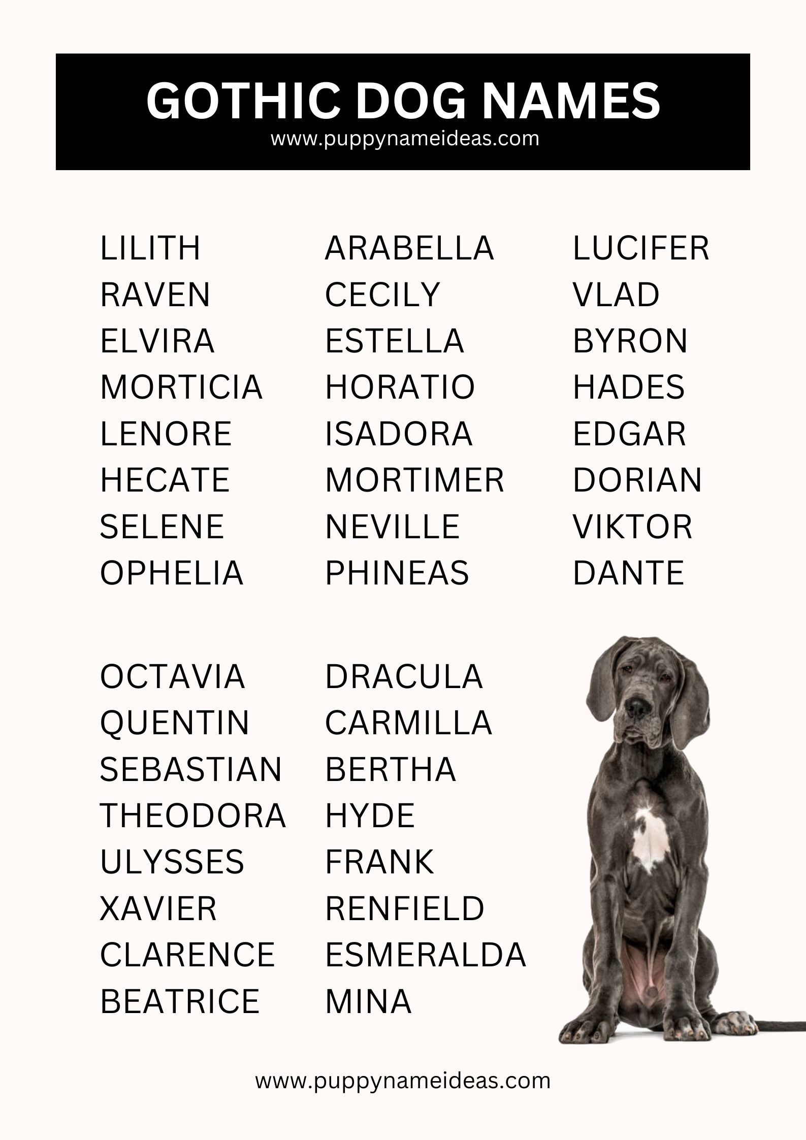List Of Gothic Dog Names
