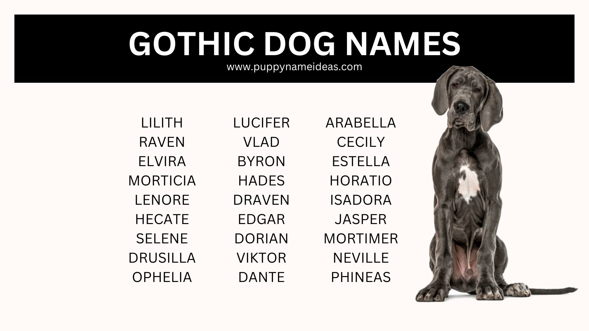 list of gothic dog names