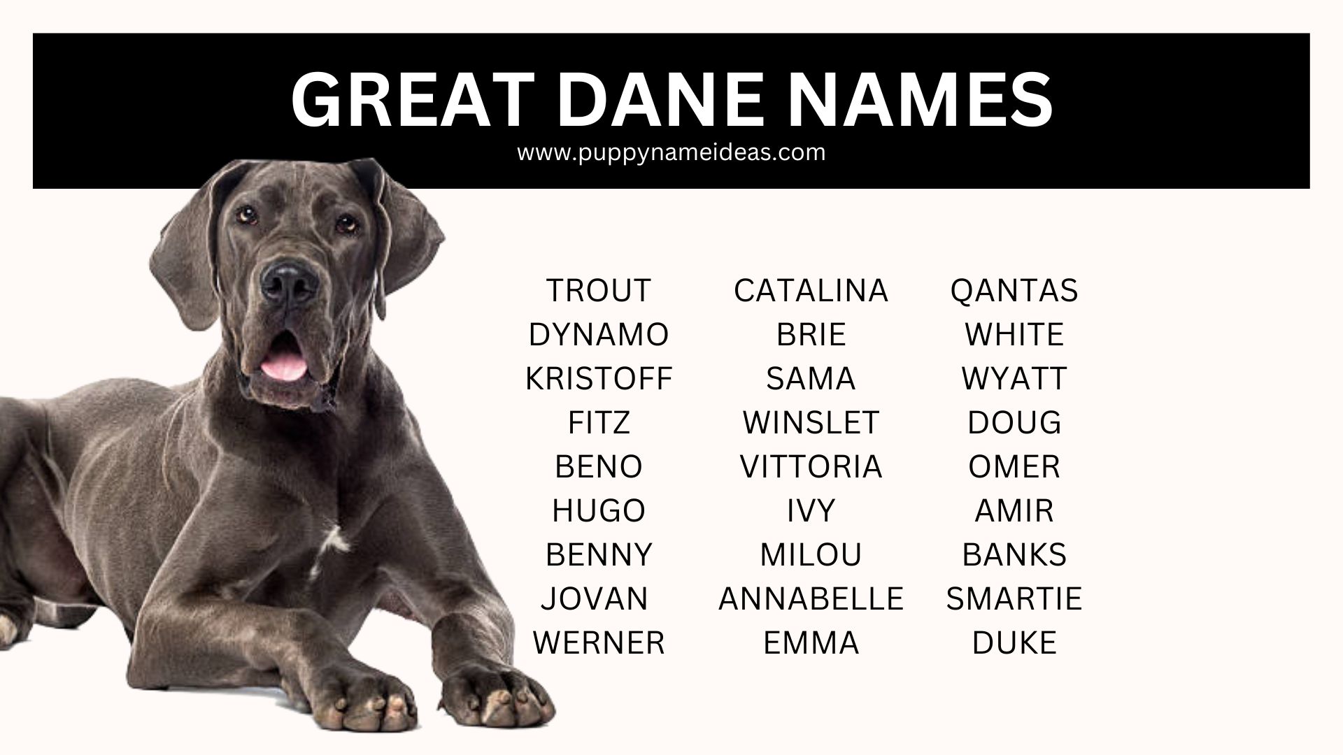 list of great dane names