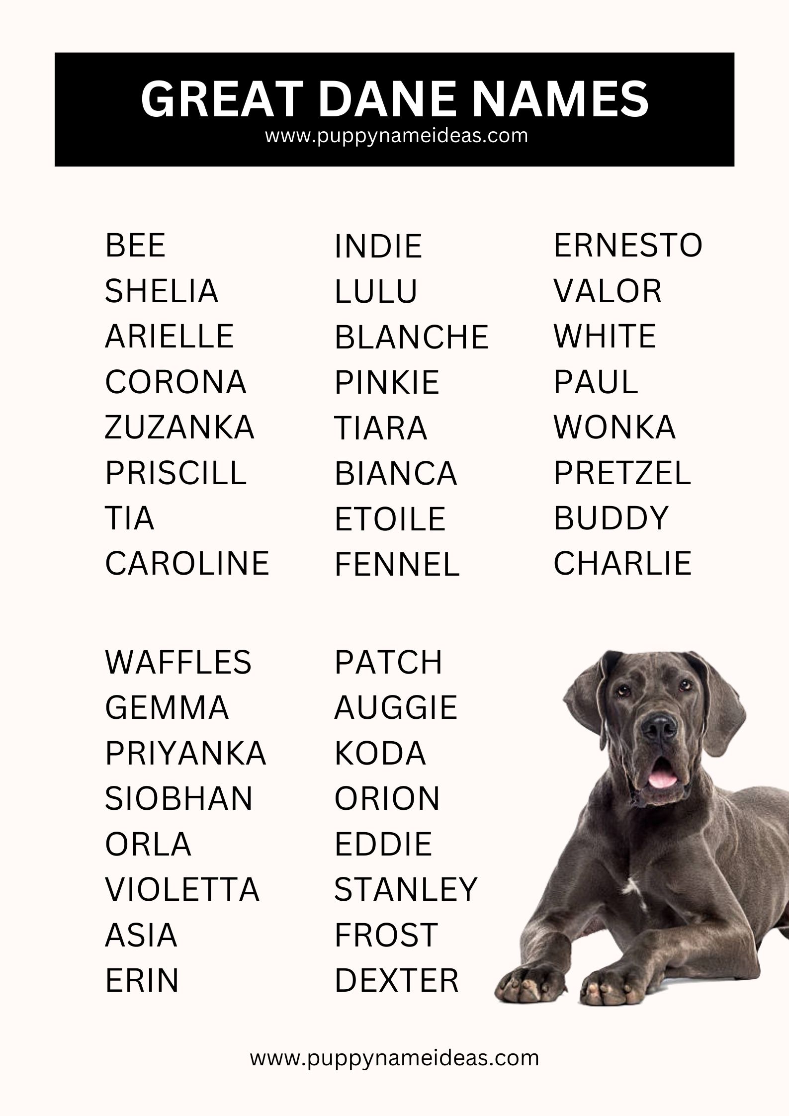 List Of Great Dane Names
