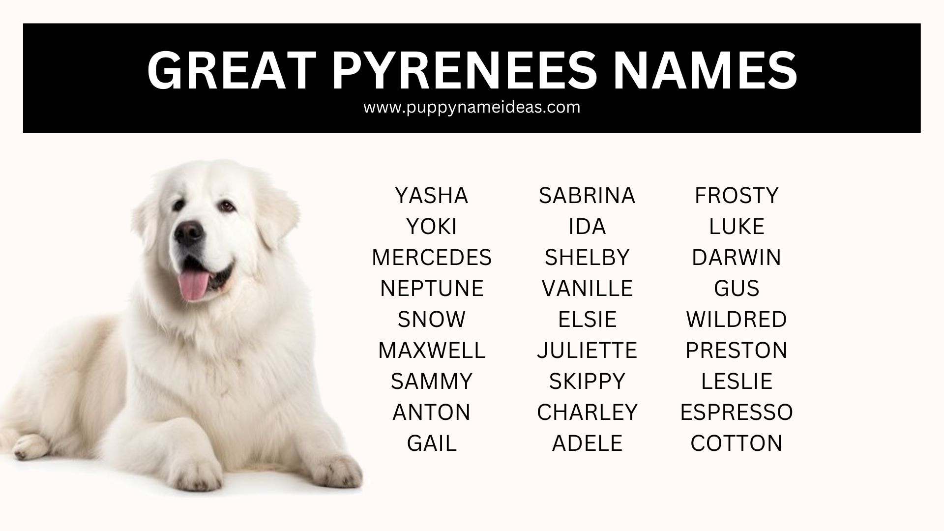 395+ Great Pyrenees Names (With Meanings)