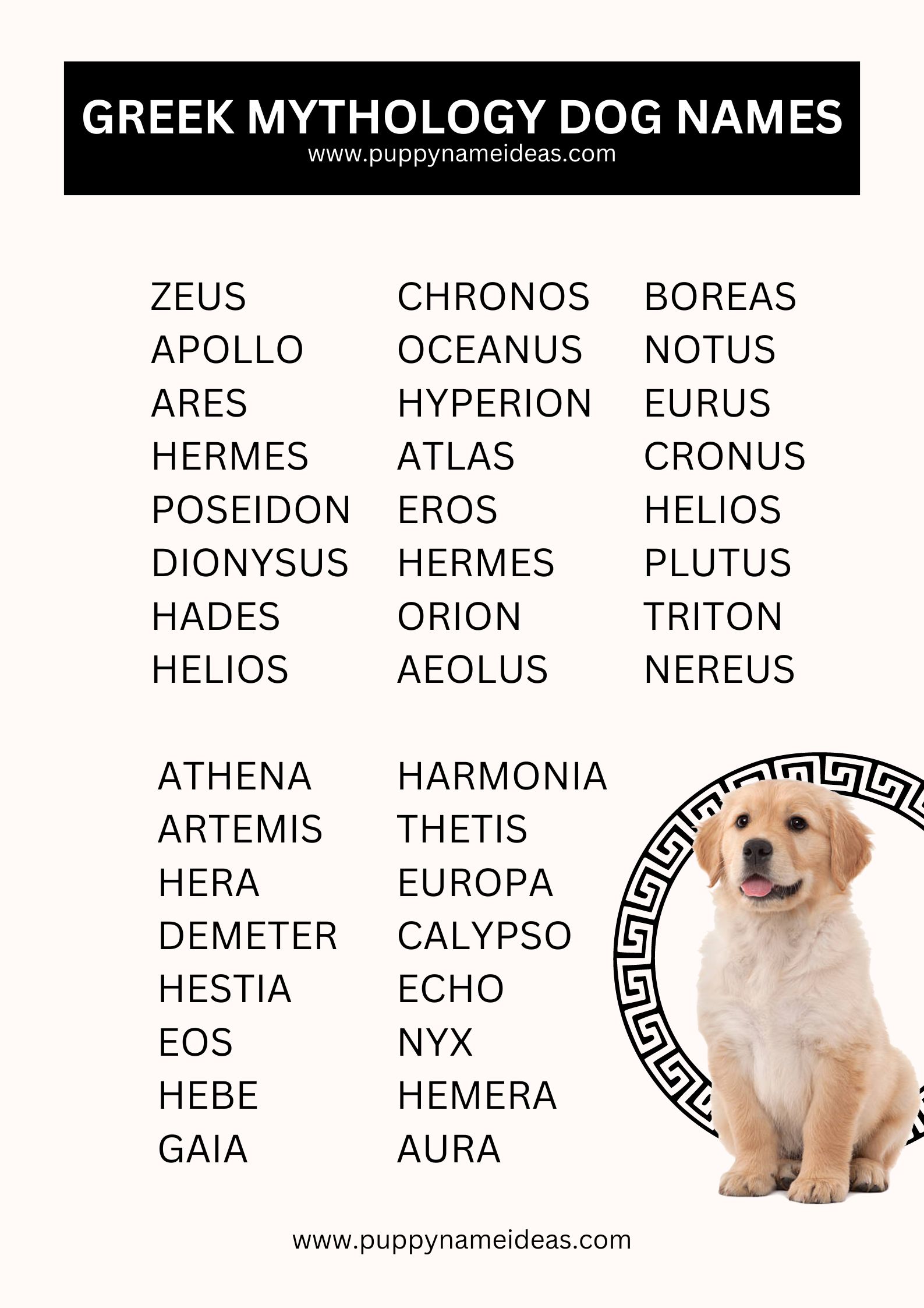 List Of Greek Mythology Dog Names