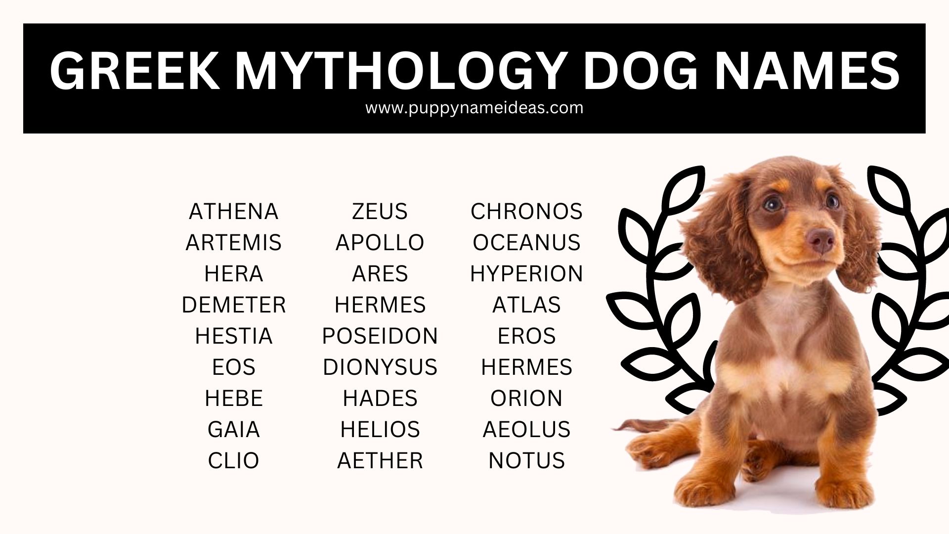 280+ Greek Mythology Dog Names