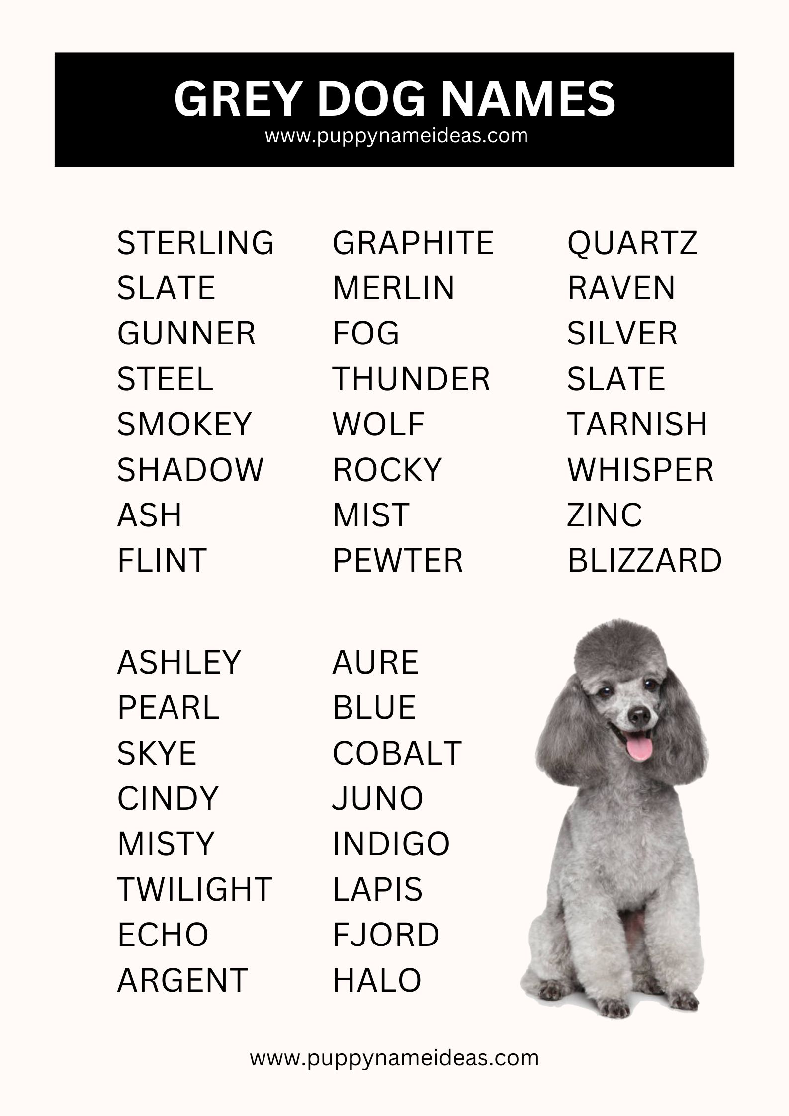 list of grey dog names