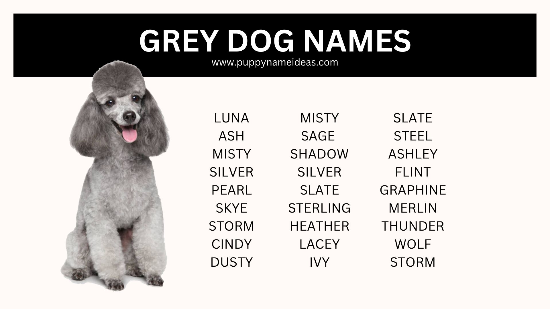 175+ Grey Dog Names