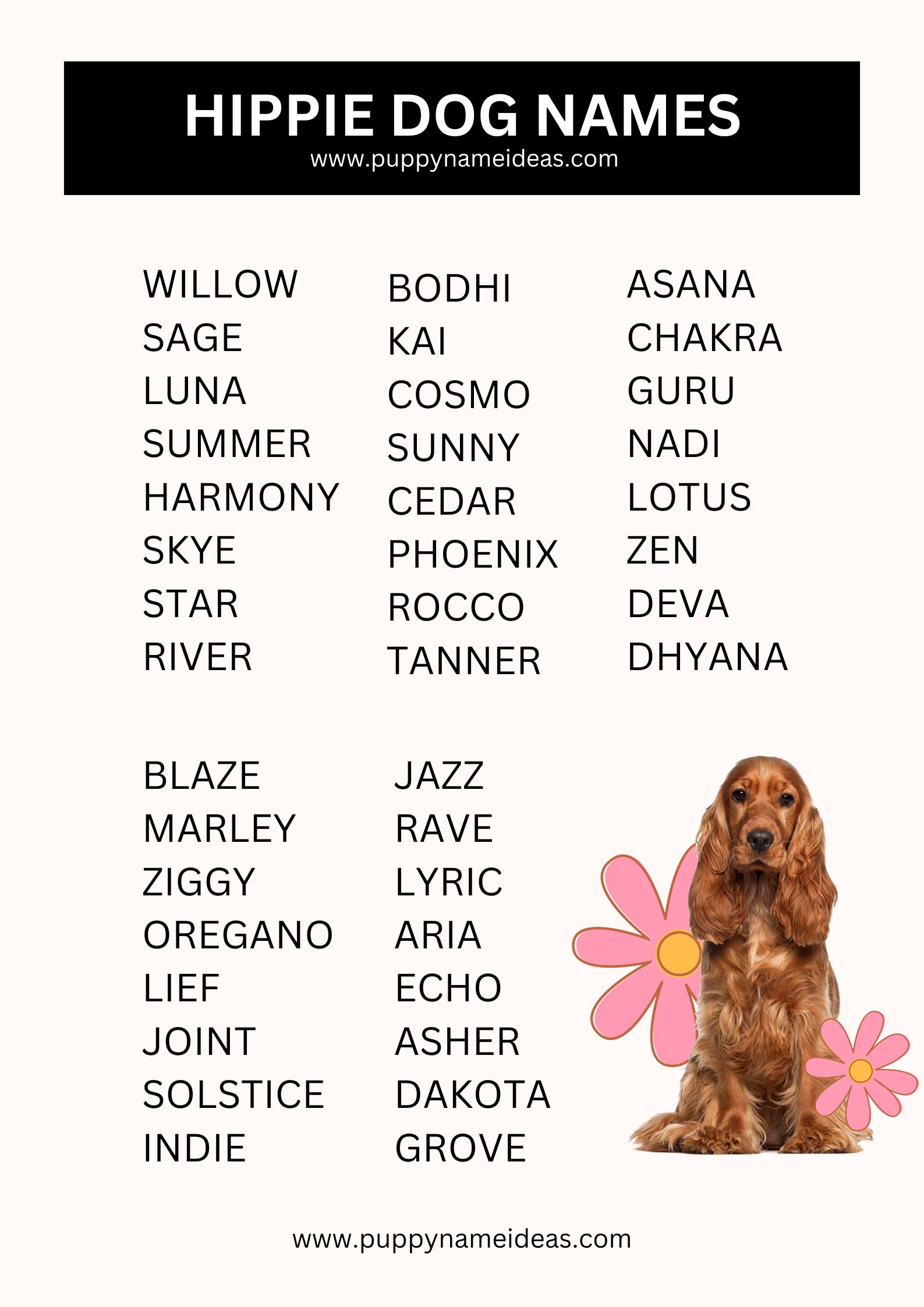 List Of Hippie Dog Names