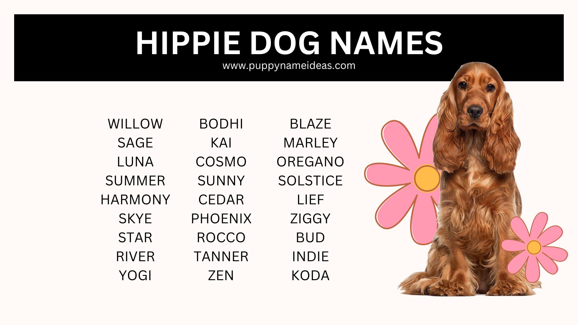 180+ Hippie Dog Names