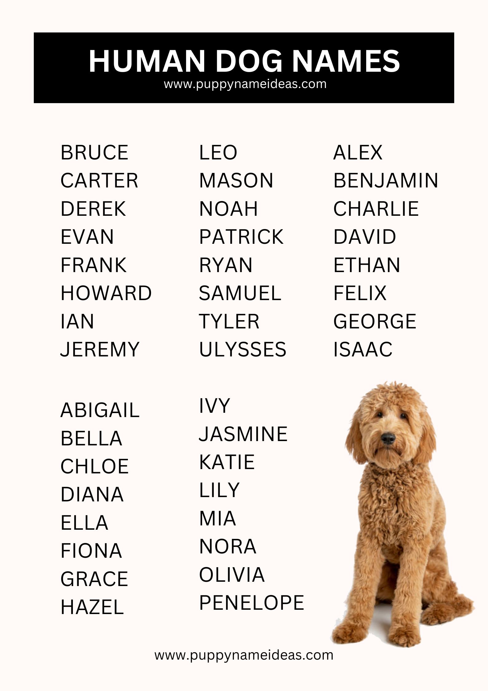 list of human dog names