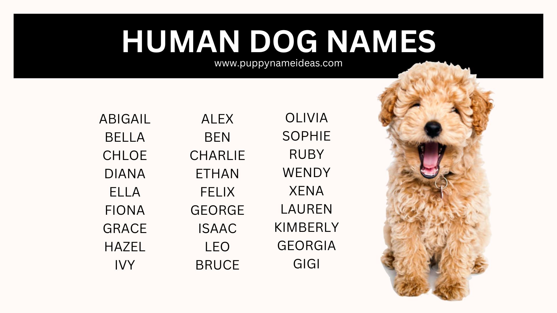 150+ Human Dog Names