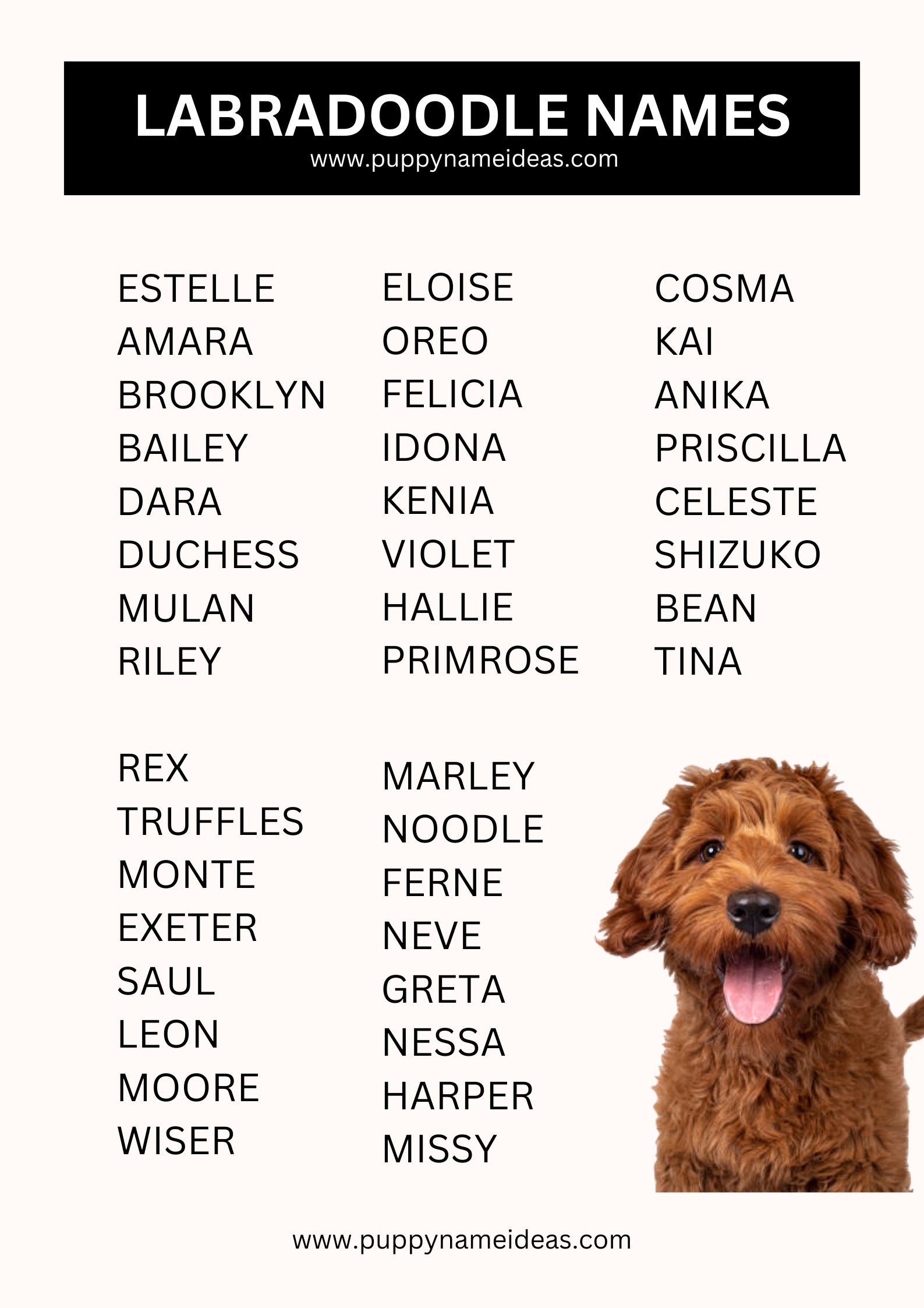 list of labradoodle names