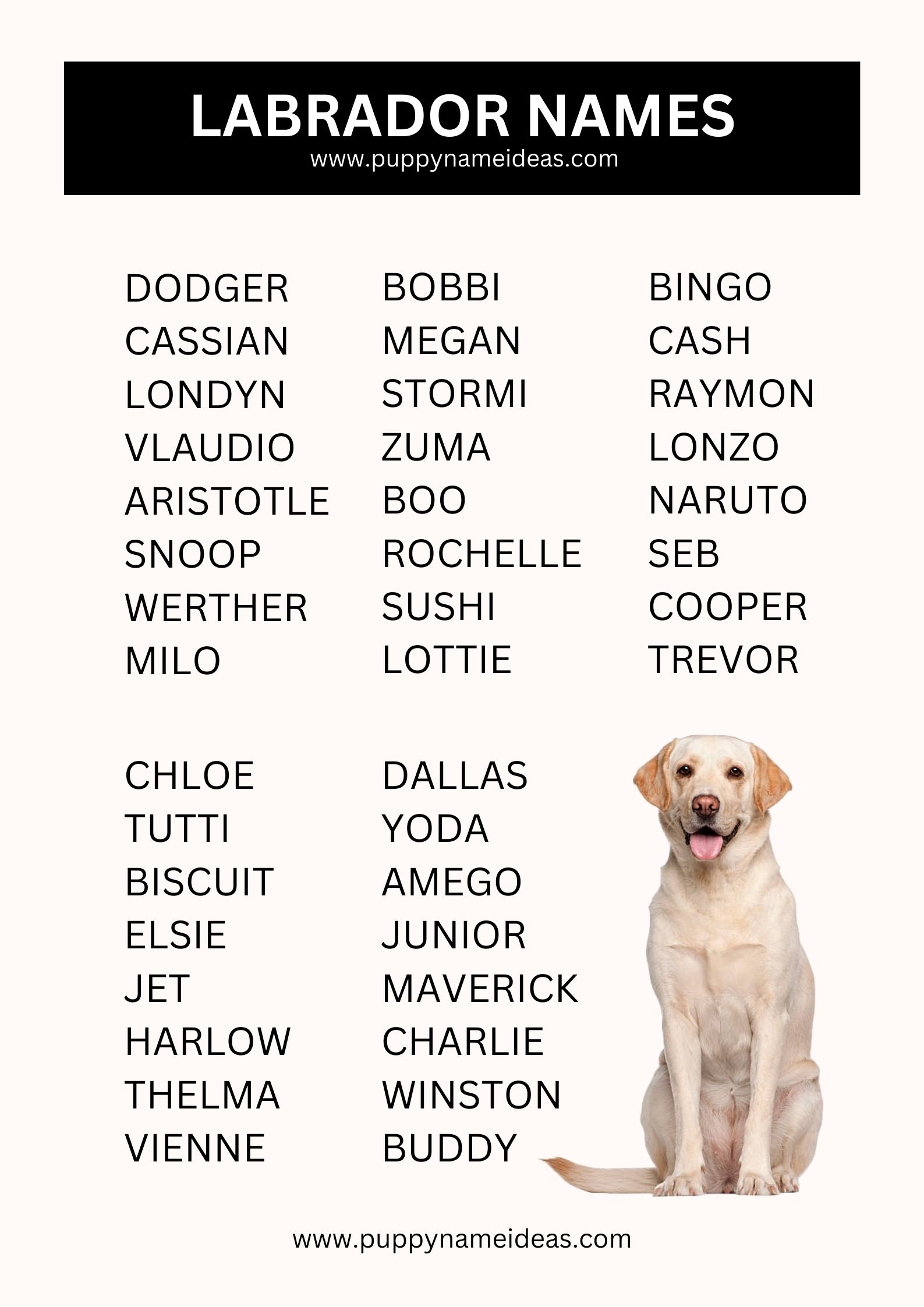 List Of Labrador Names