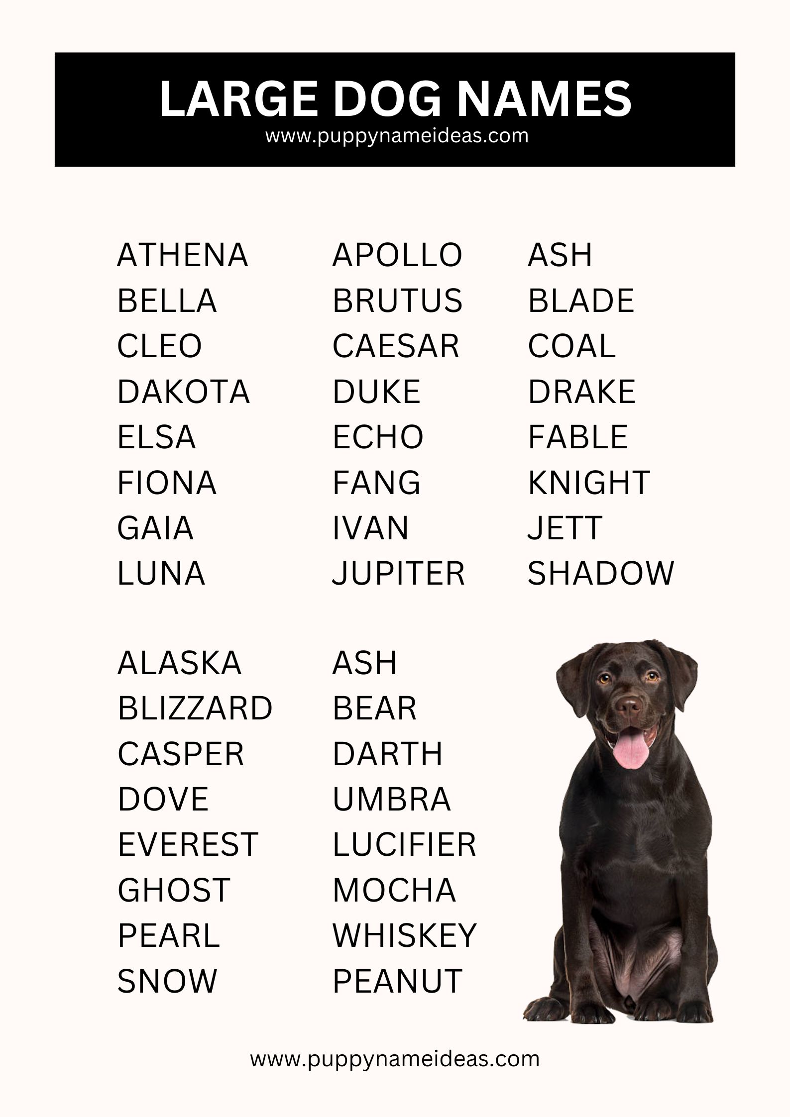 list of large dog names