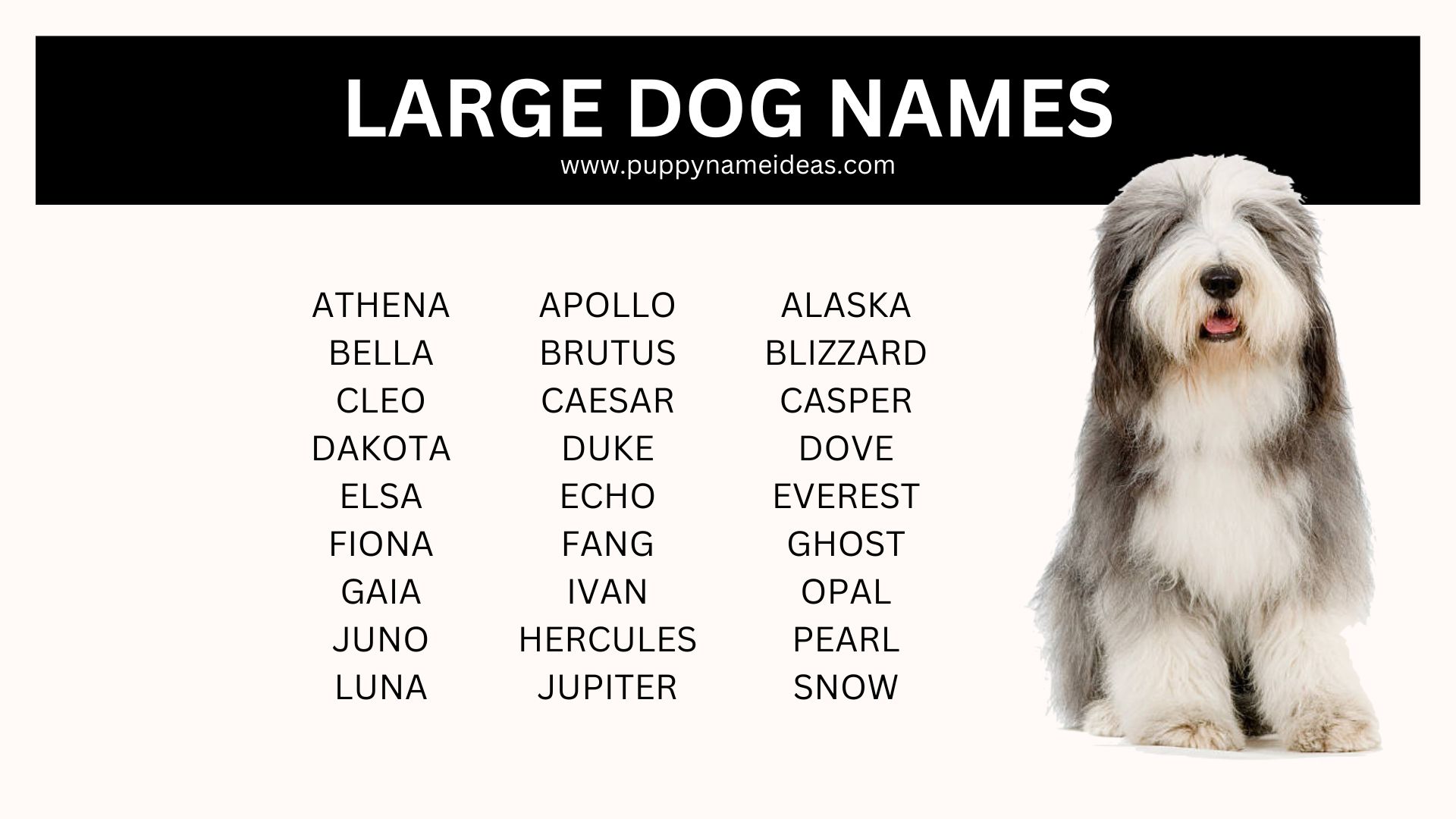 180+ Large Dog Names