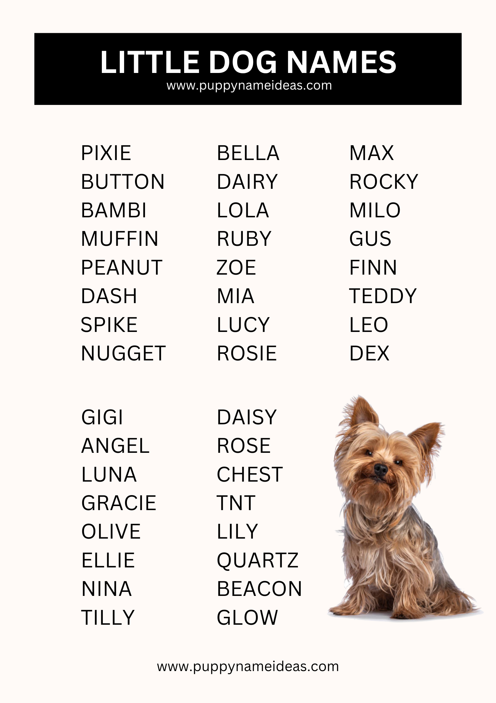 List Of Little Dog Names