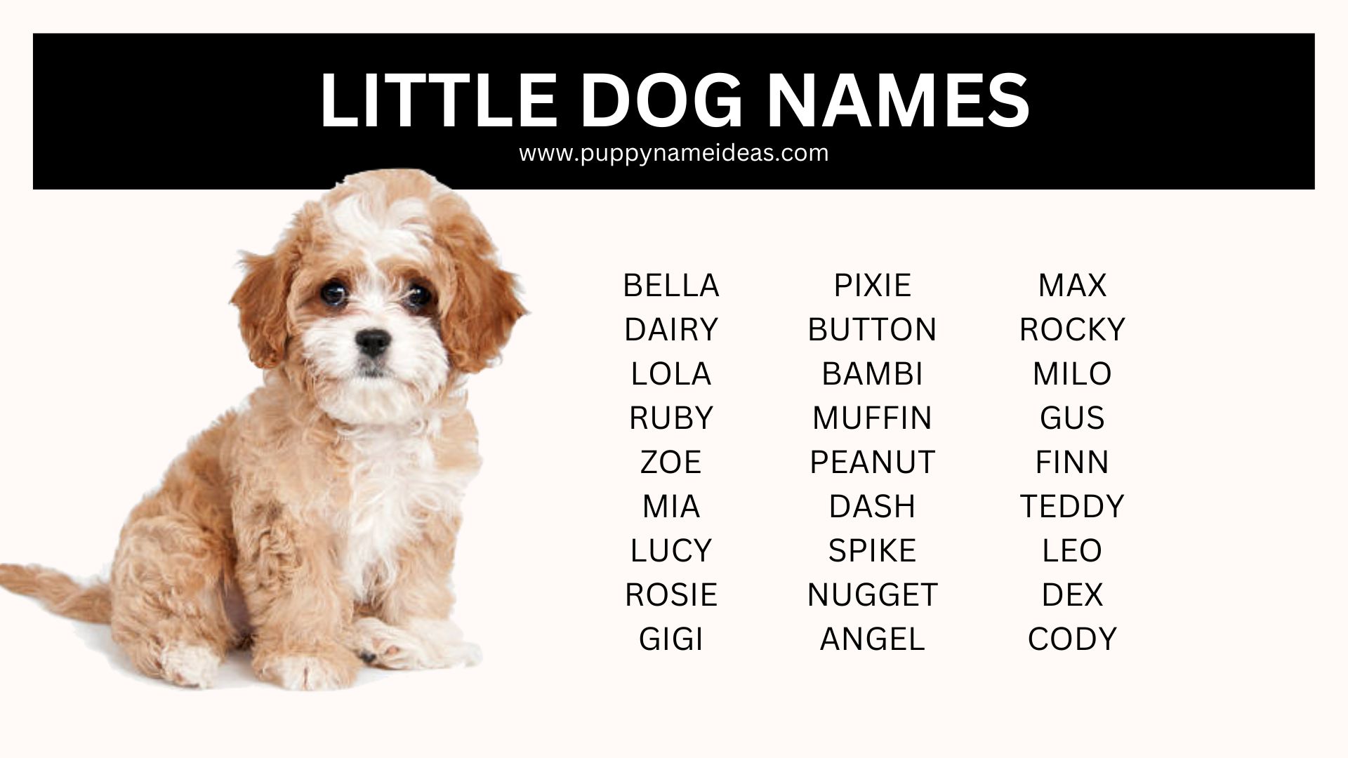 list of little dog names