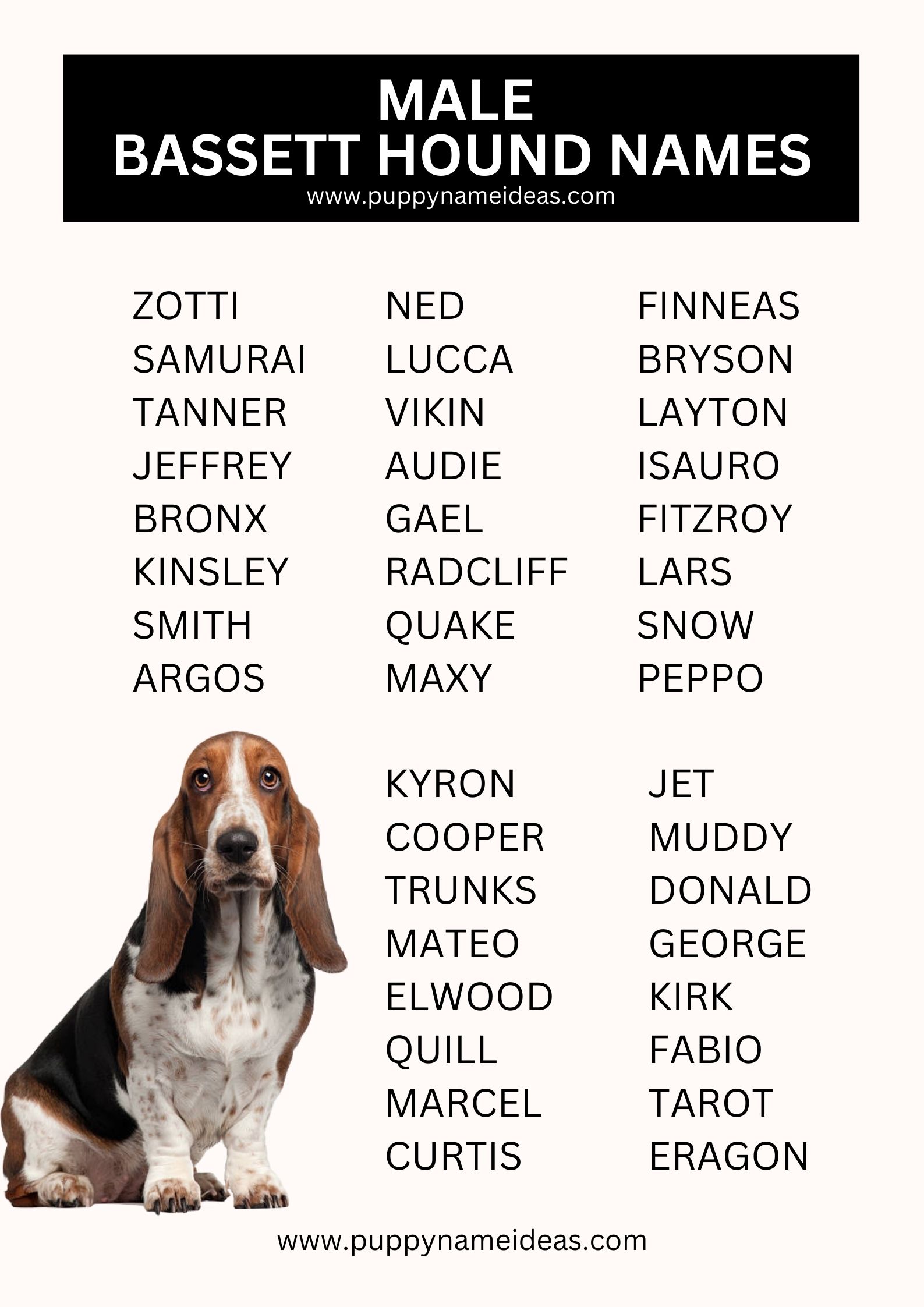 List Of Male Basset Hound Names