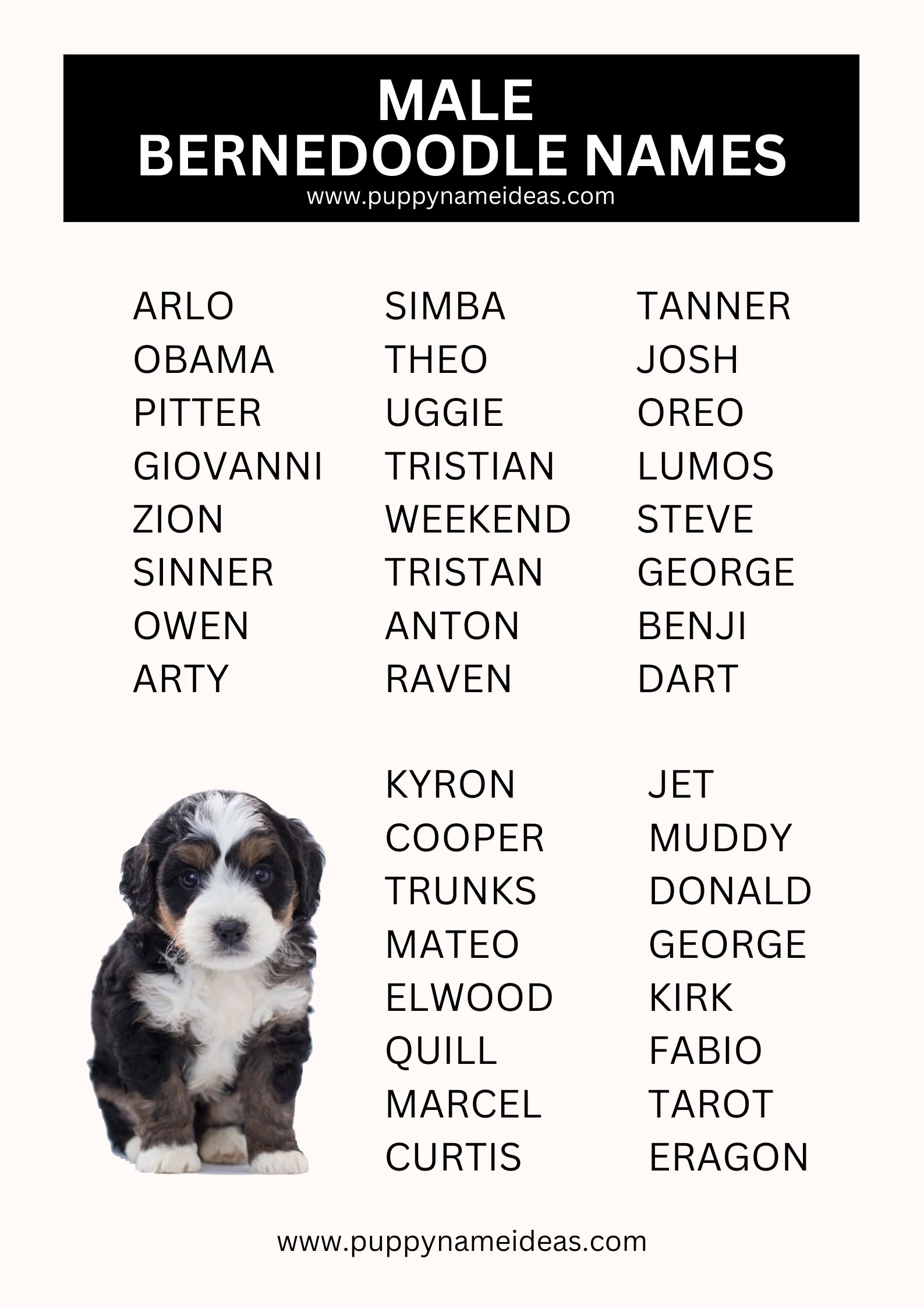 List Of Male Bernedoodle Names