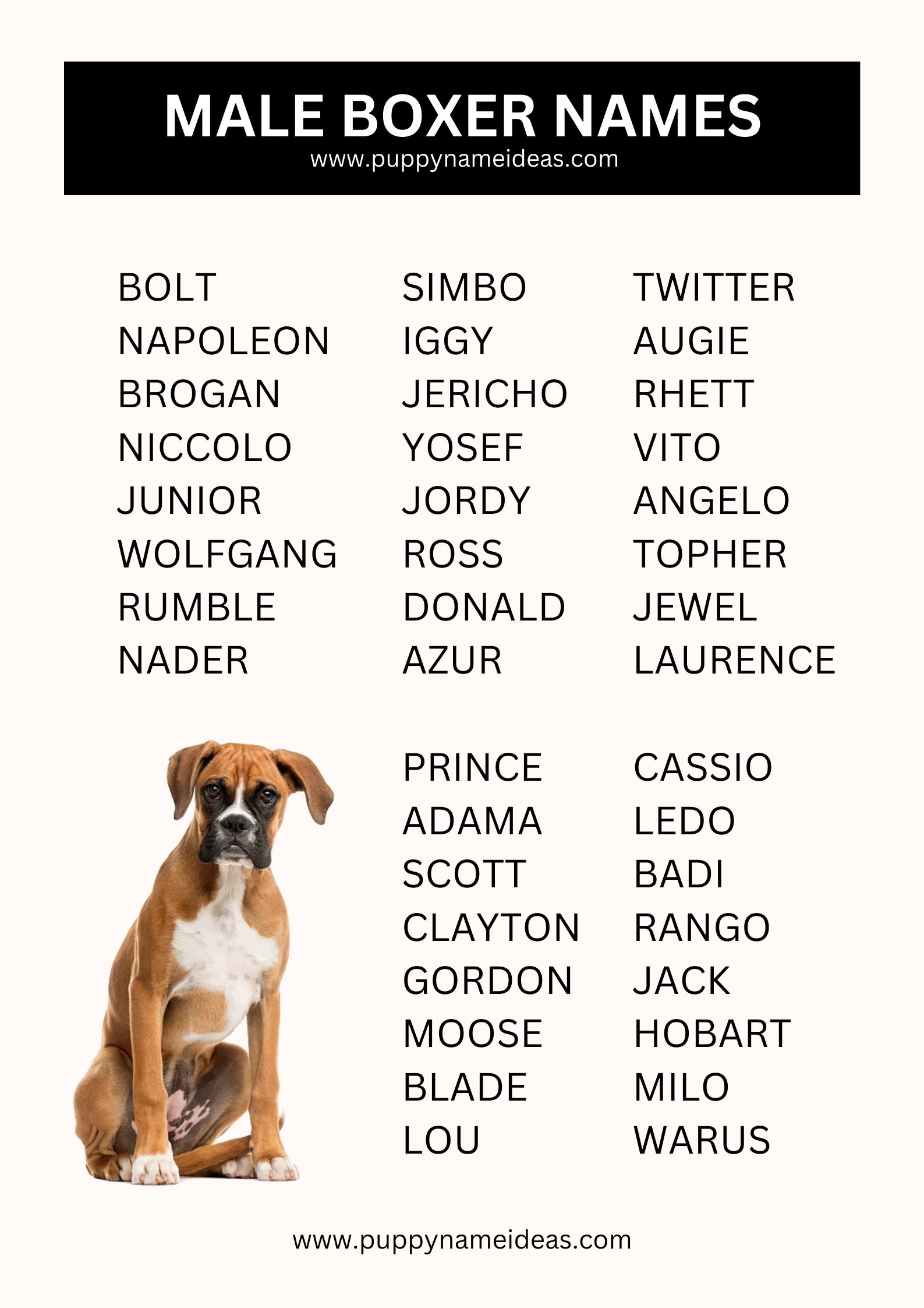 380 Boxer Names With Meanings 