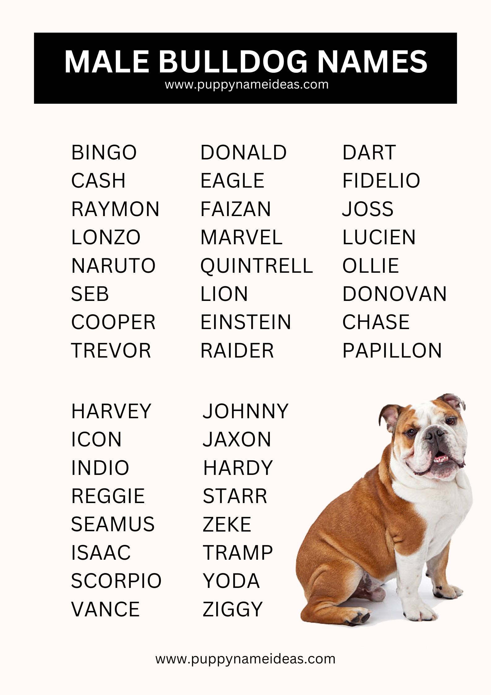 List Of Male Bulldog Names