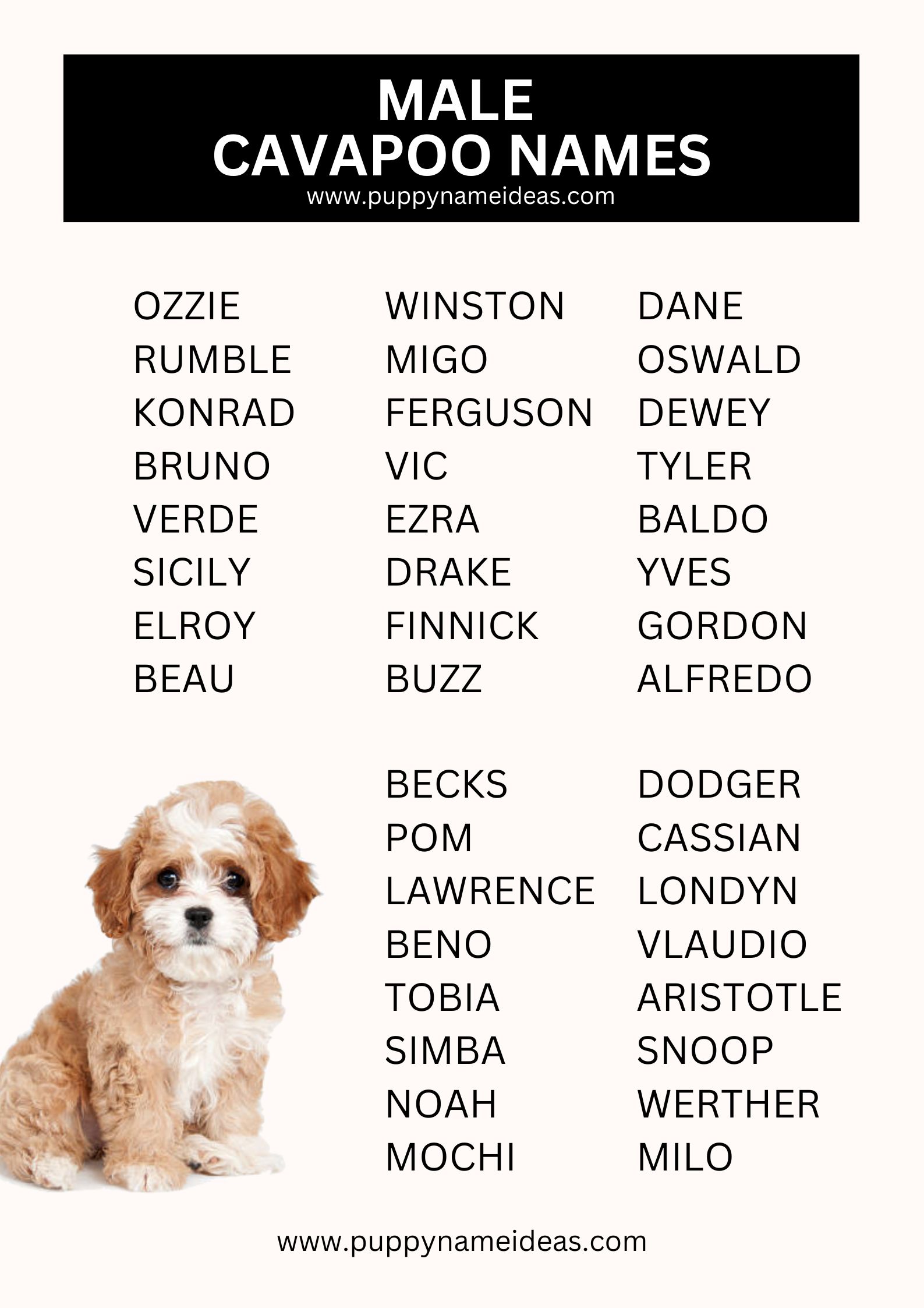 List Of Male Cavapoo Names