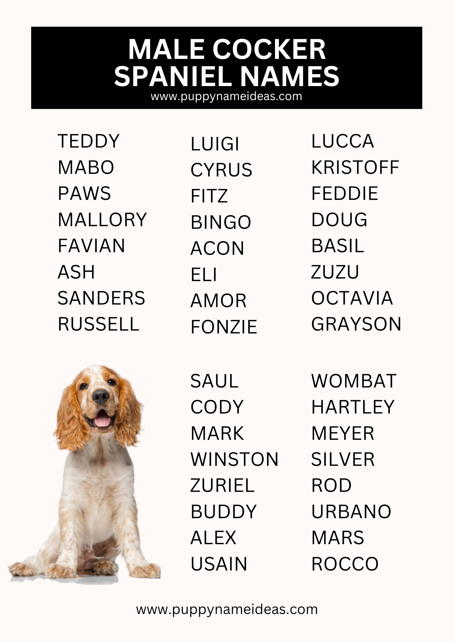 List Of Male Cocker Spaniel Names