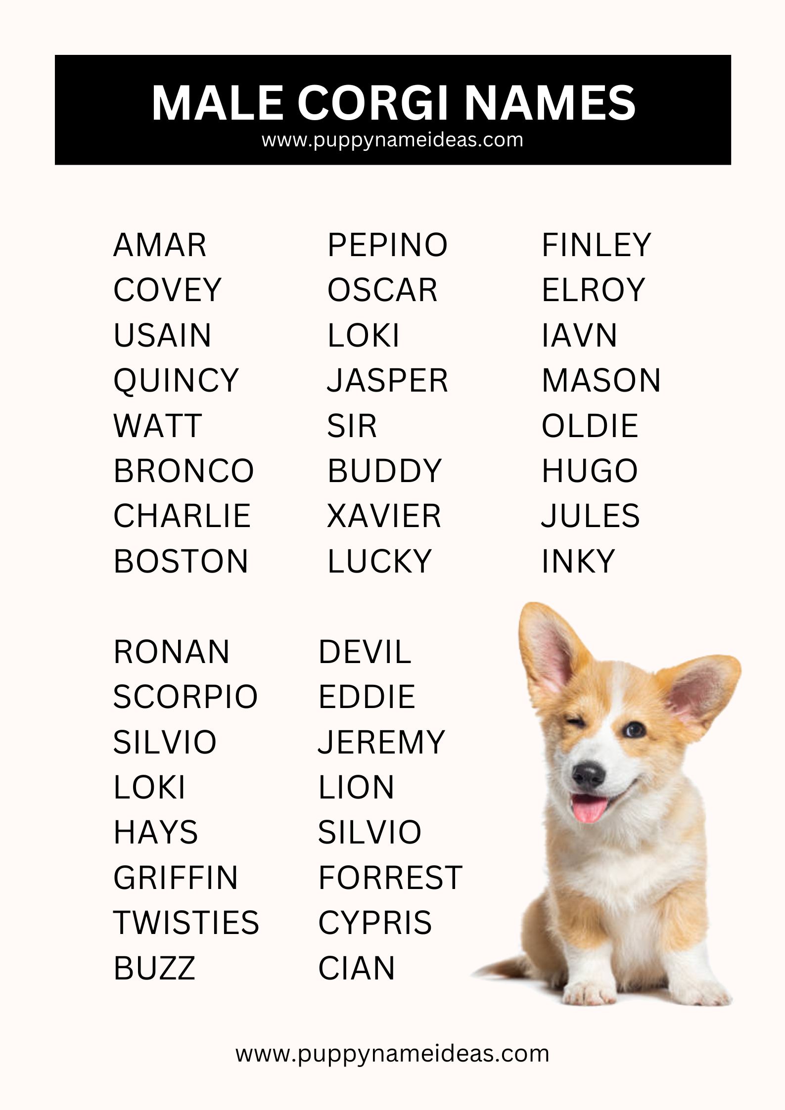 List Of Male Corgi Names