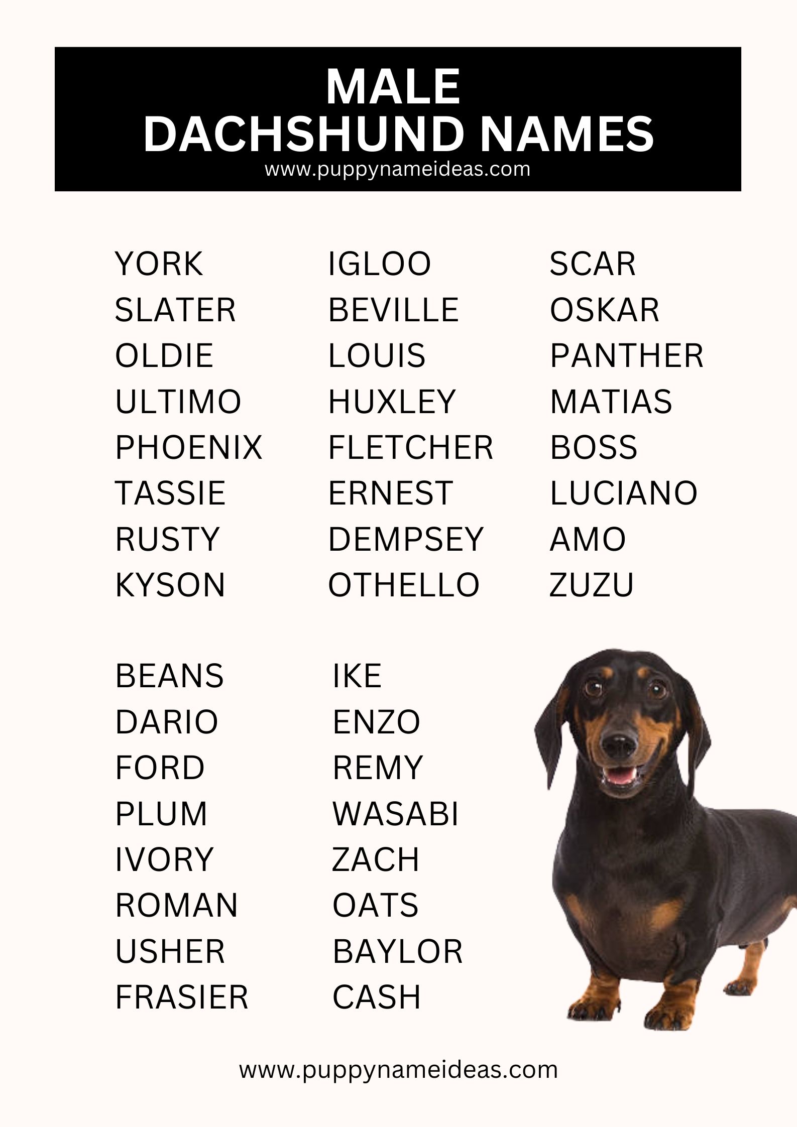 list of male dachshund names