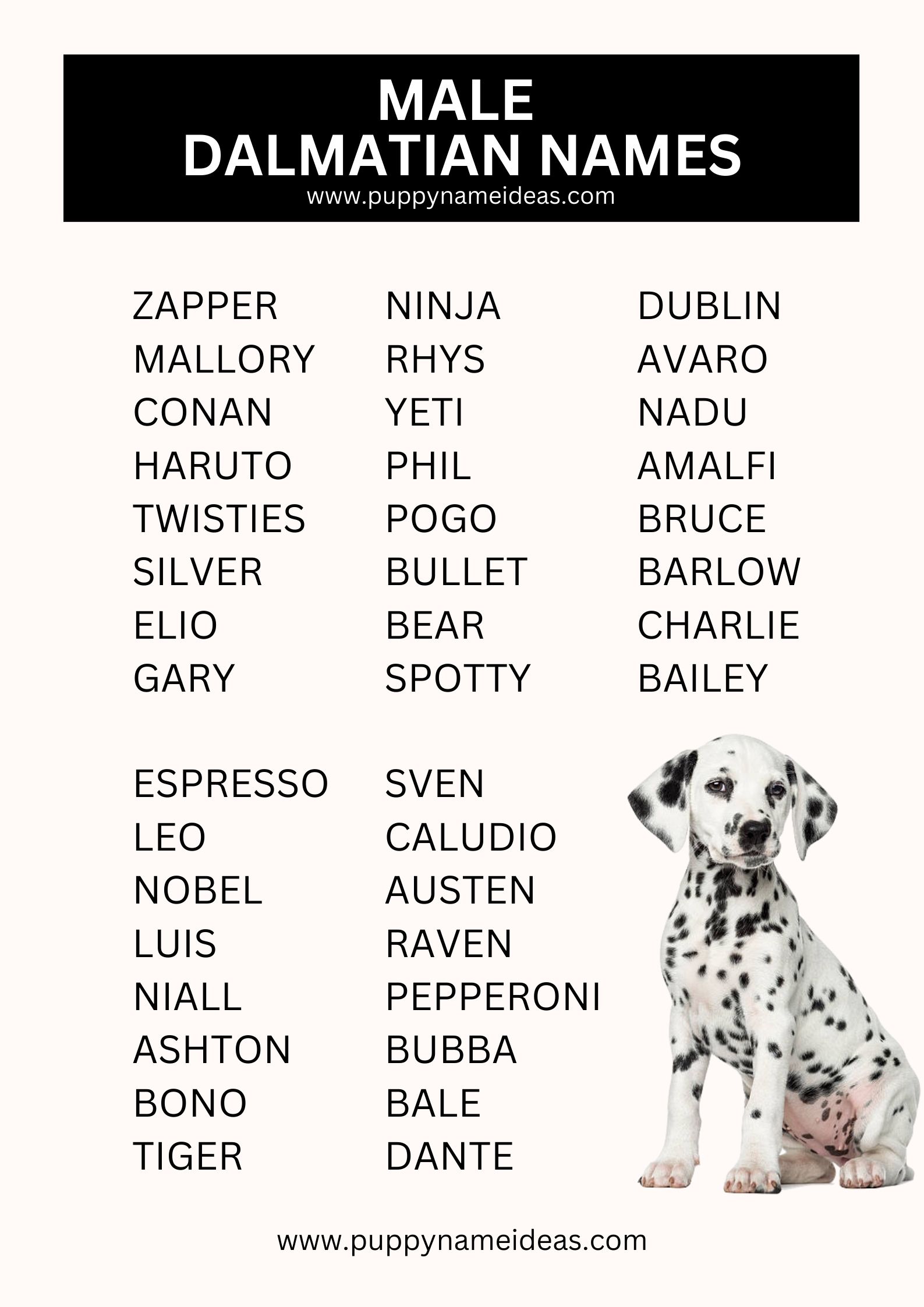 list of male dalmatian names