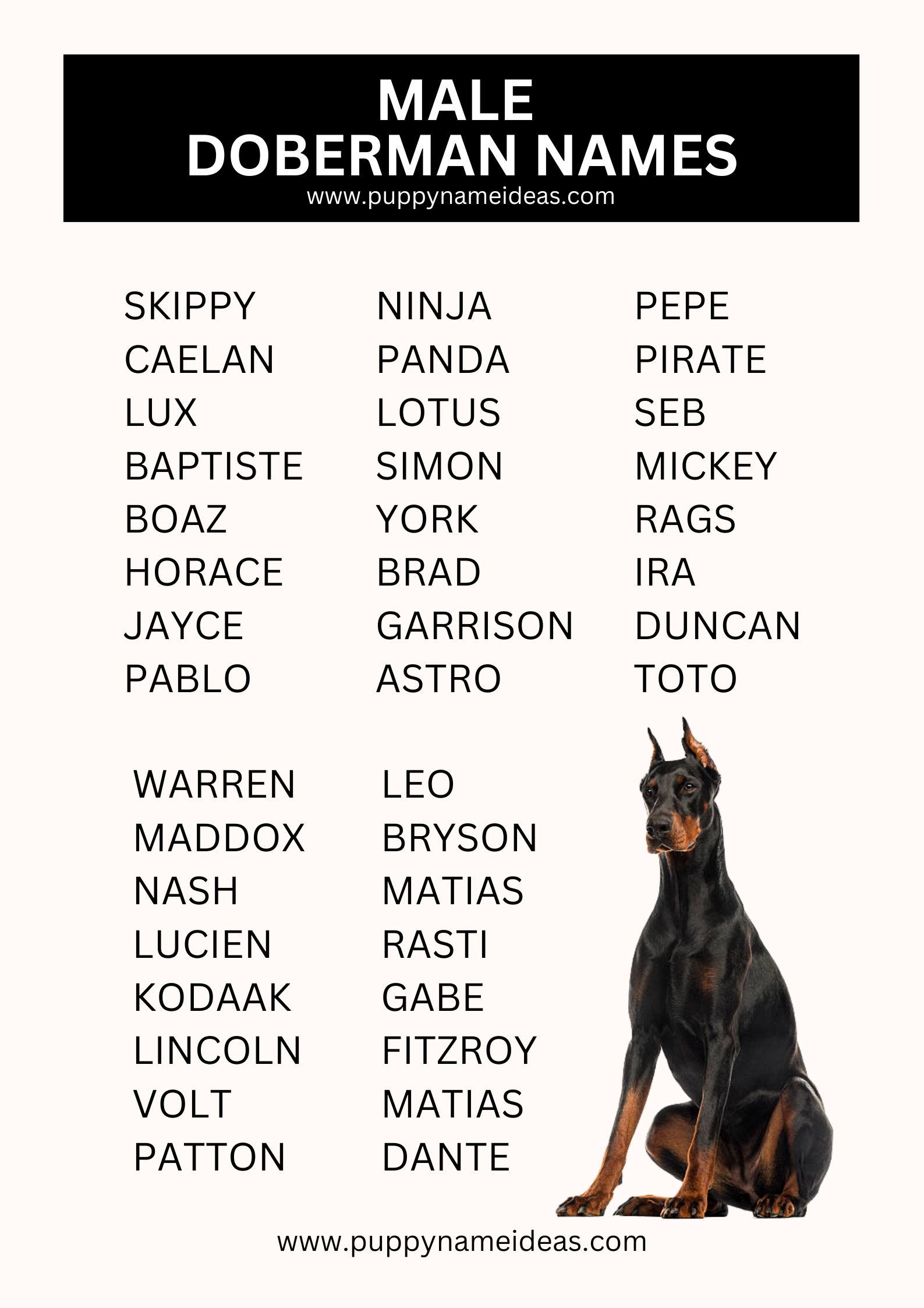 List Of Male Dobermann Names