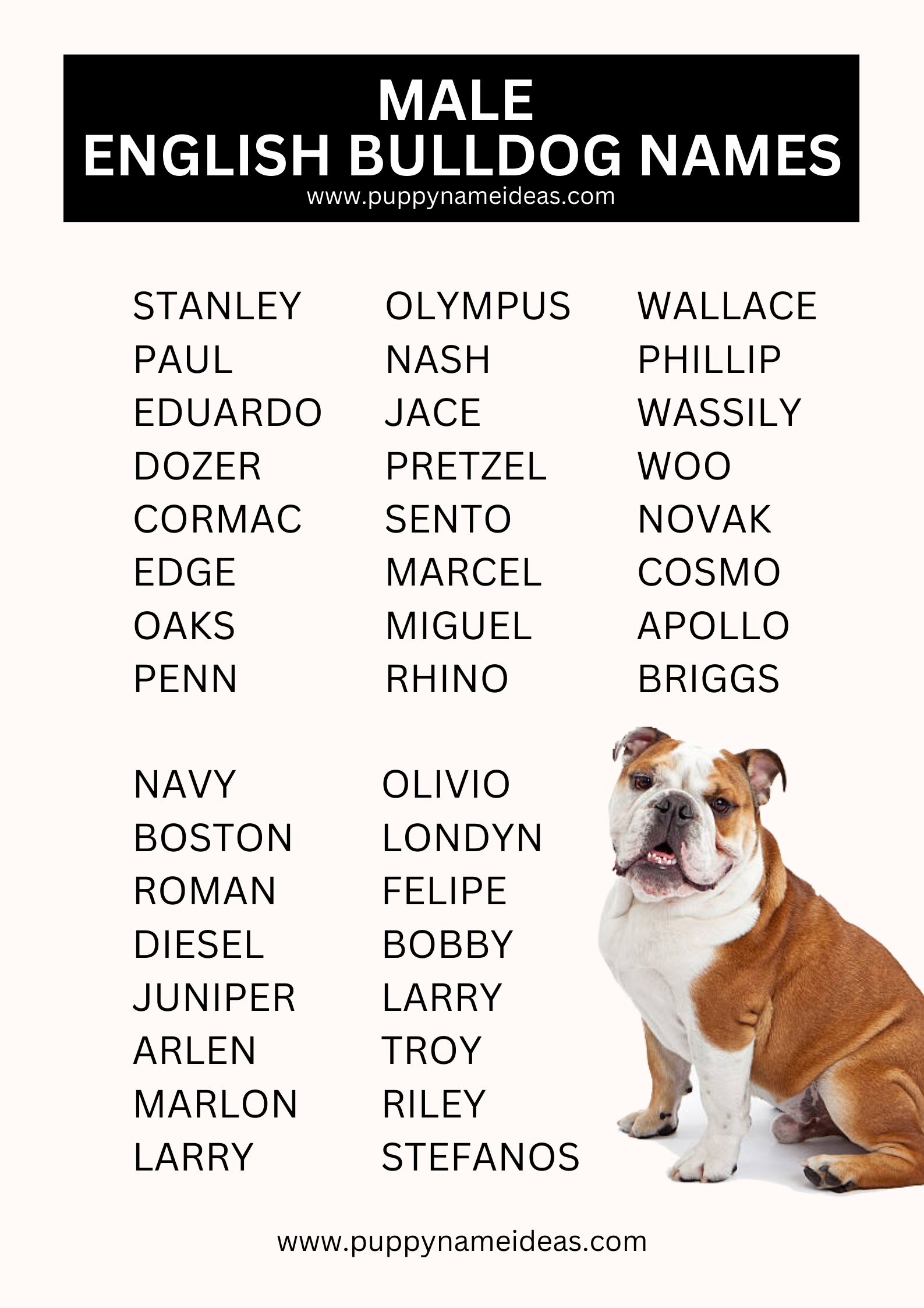 List Of Male English Bulldog Names