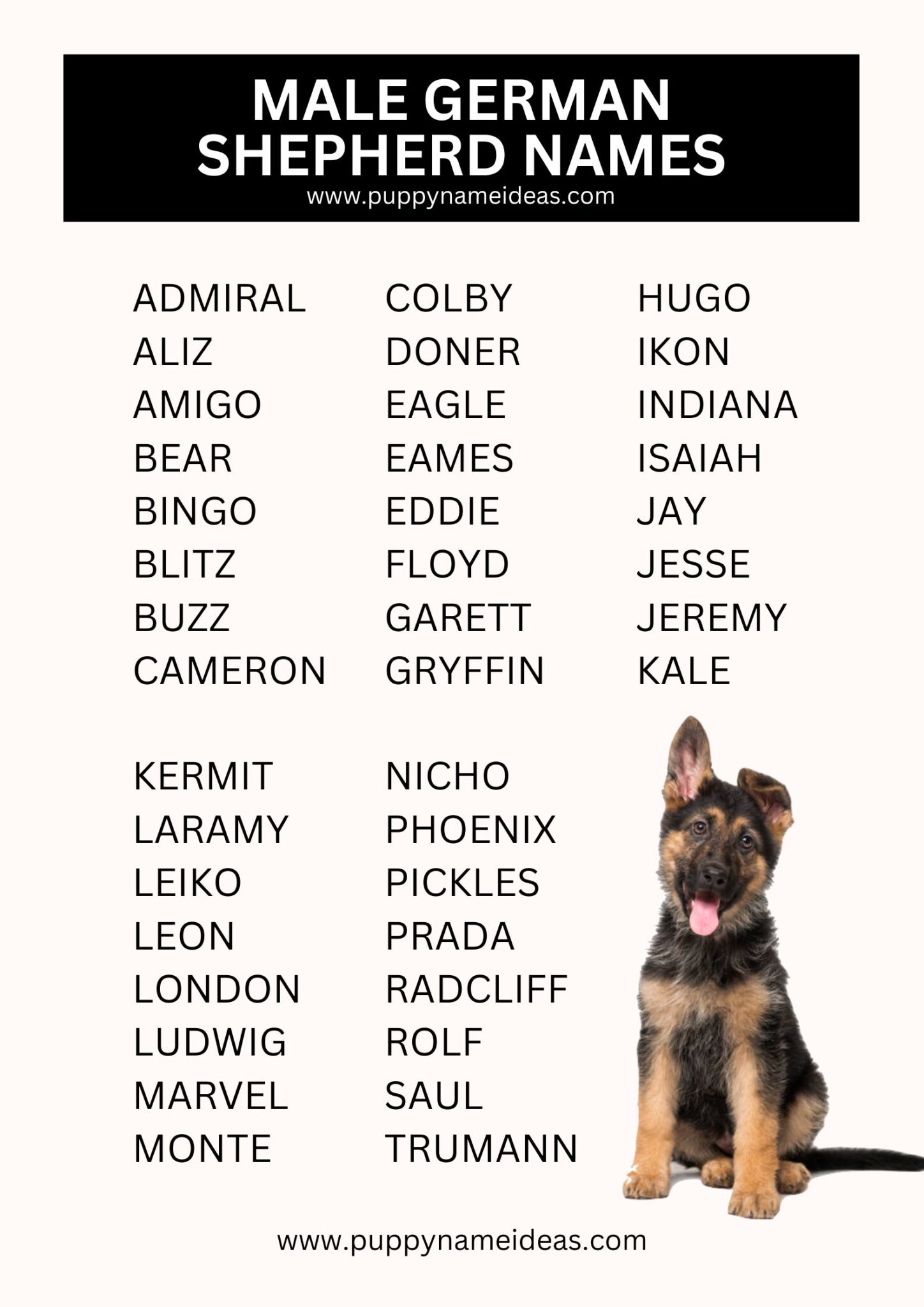 380+ German Shepherd Names (With Meanings)