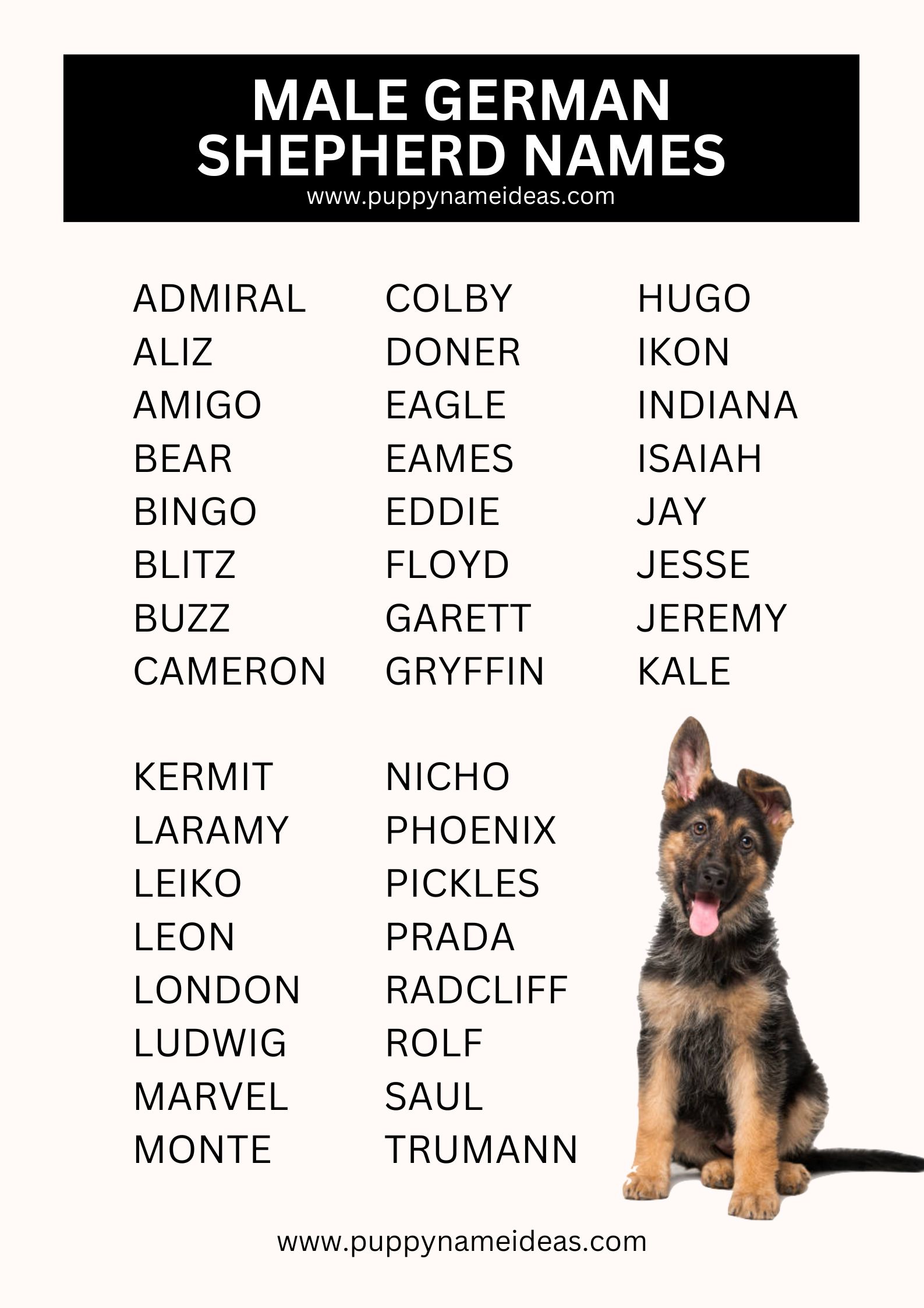 List Of Male German Shepherd Names