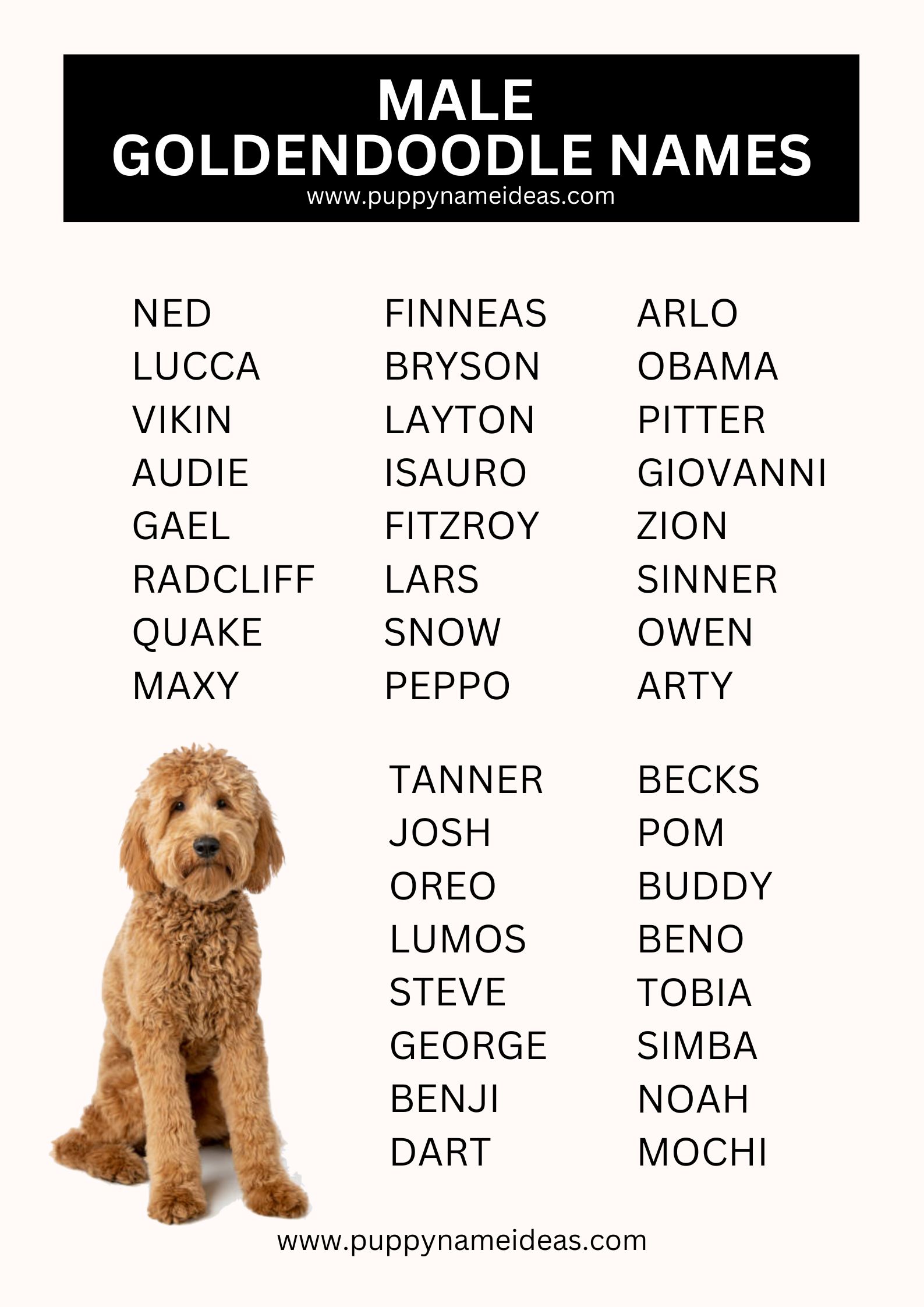 List Of Male Goldendoodle Names