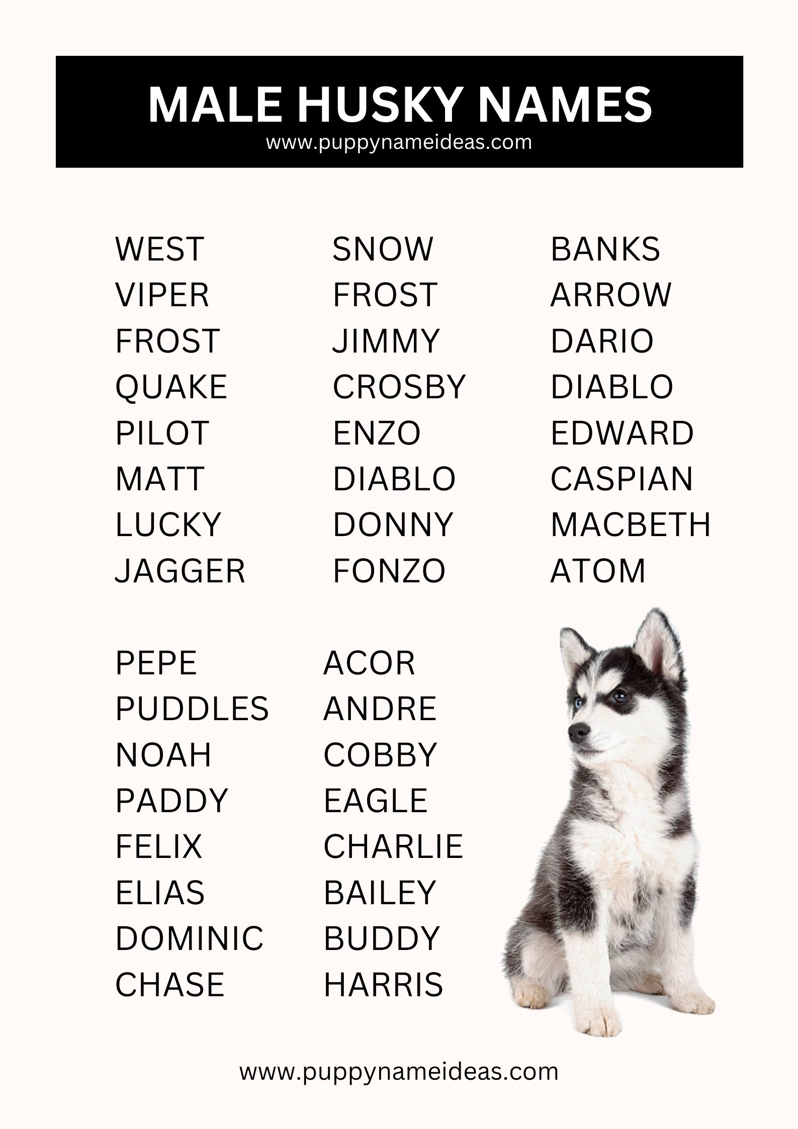 List Of Male Husky Names