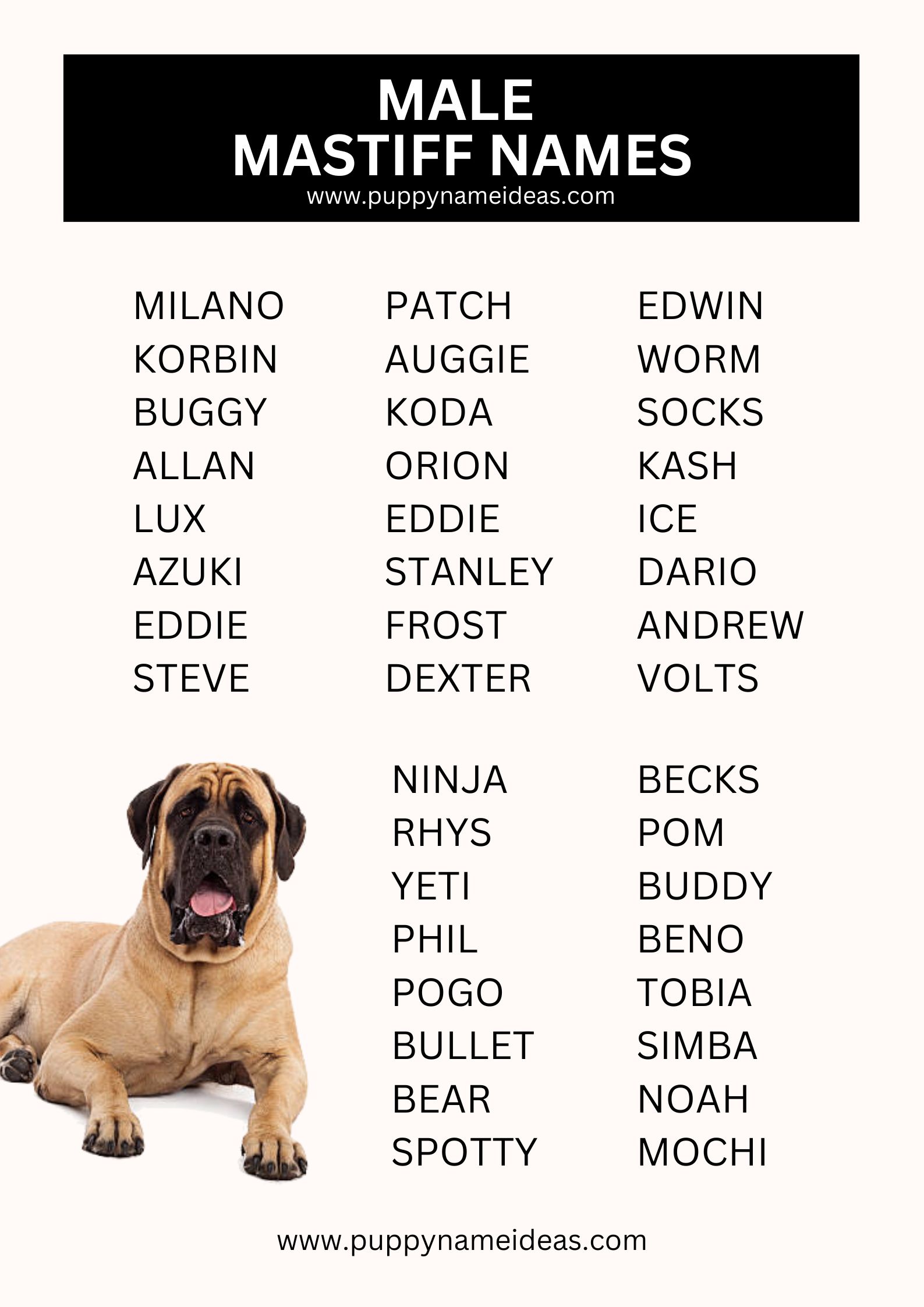 List Of Male Mastiff Names