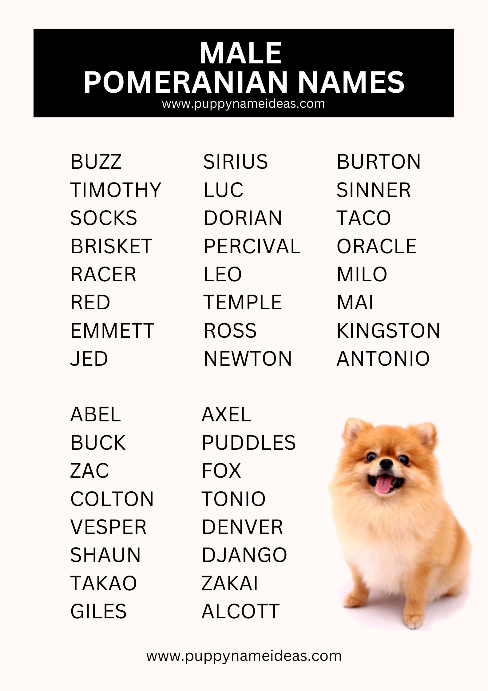 list of male pomeranian names