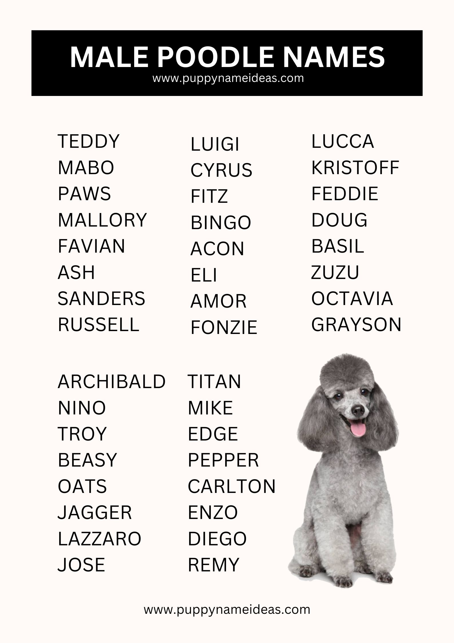 List Of Male Poodle Names