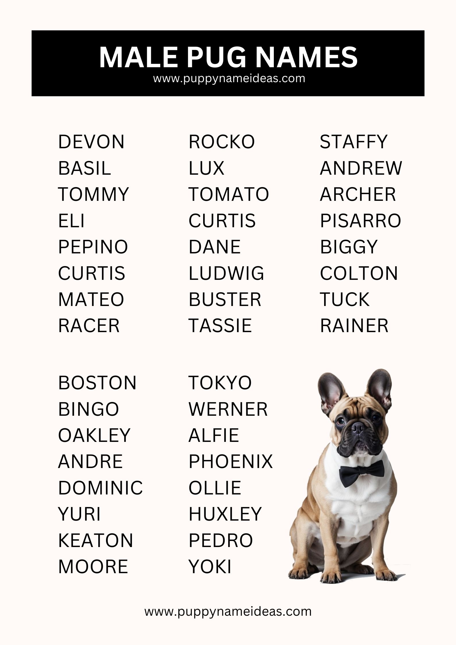 list of male pug names