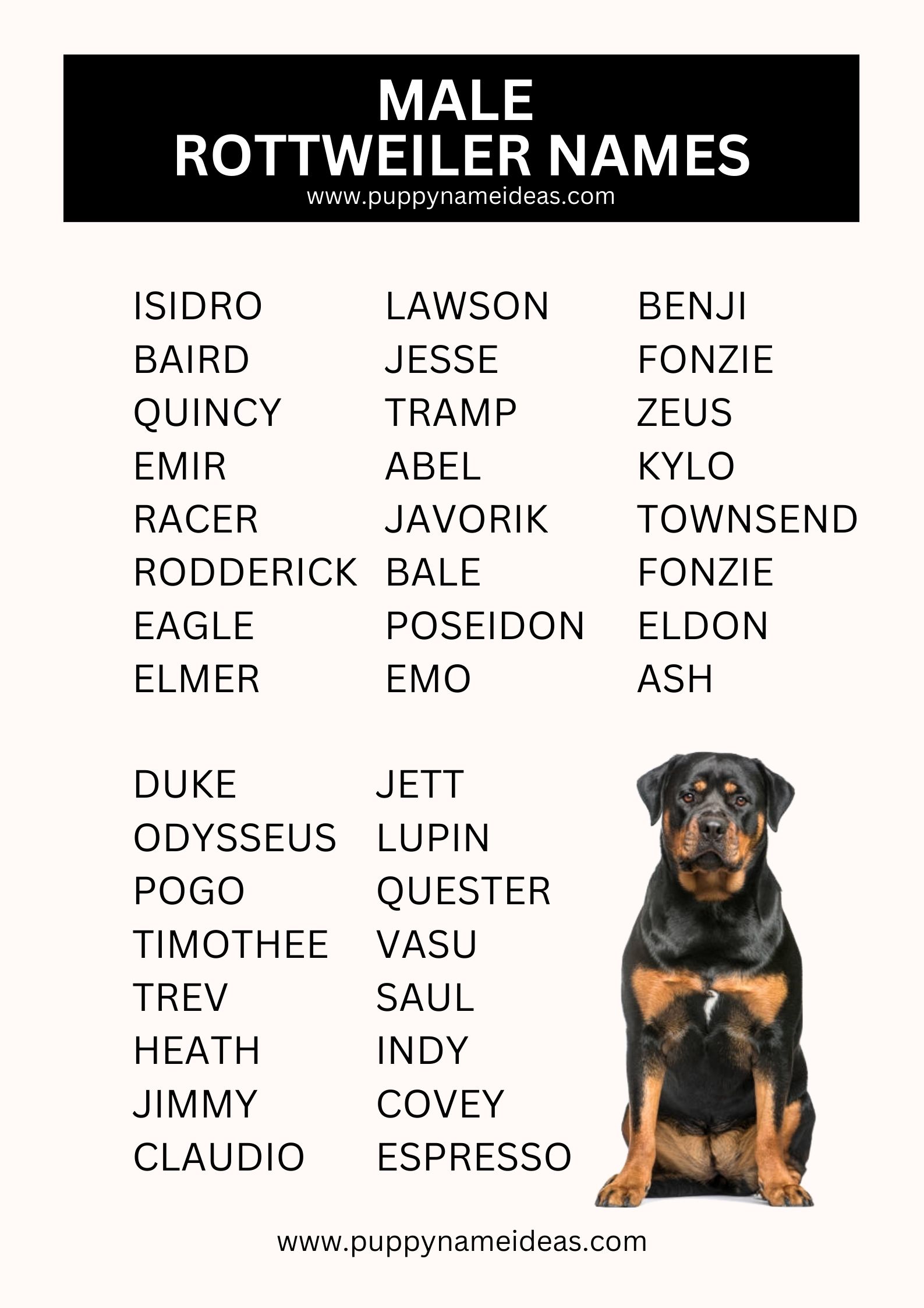 list of male rottweiler names