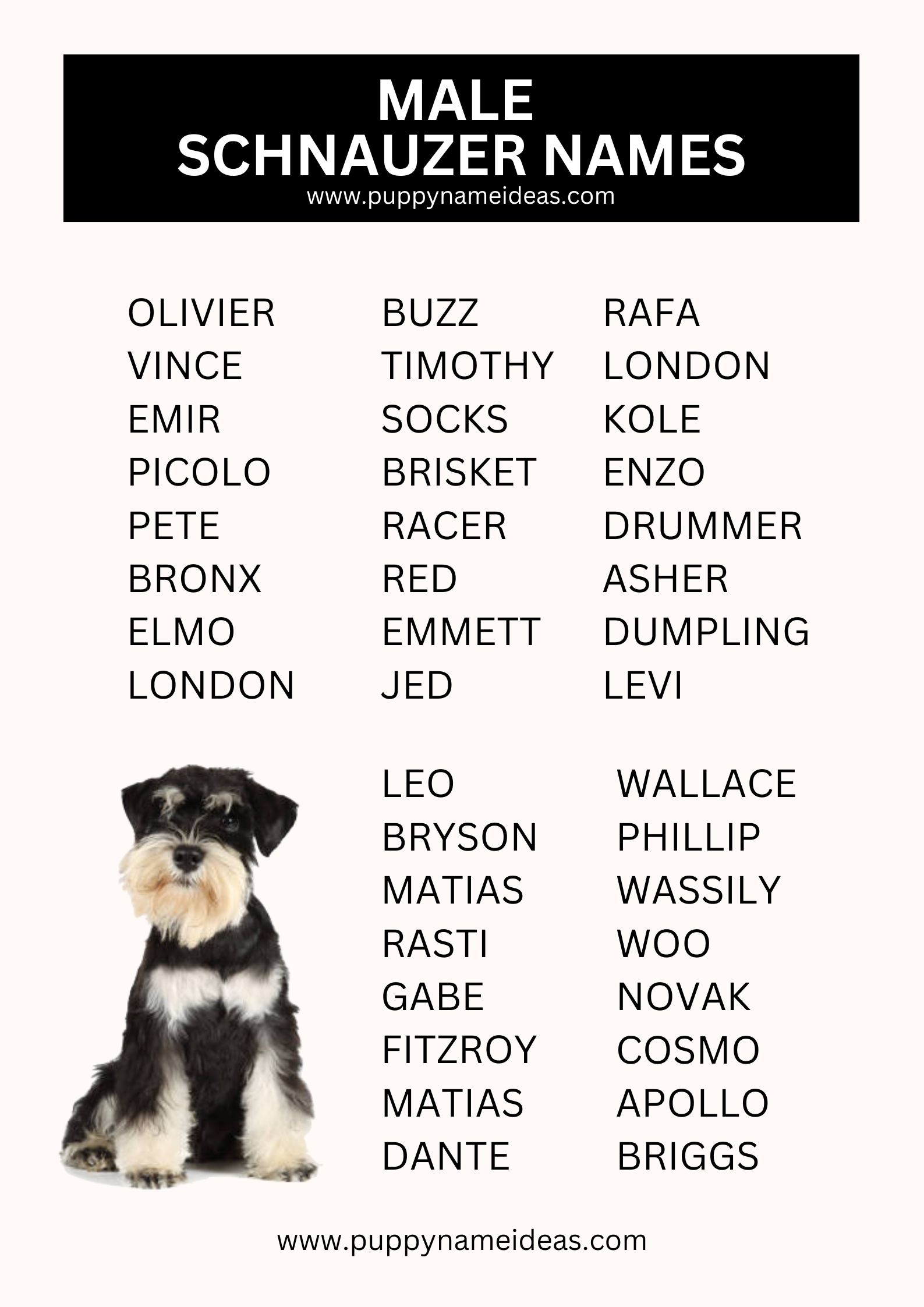 List Of Male Schnauzer Names