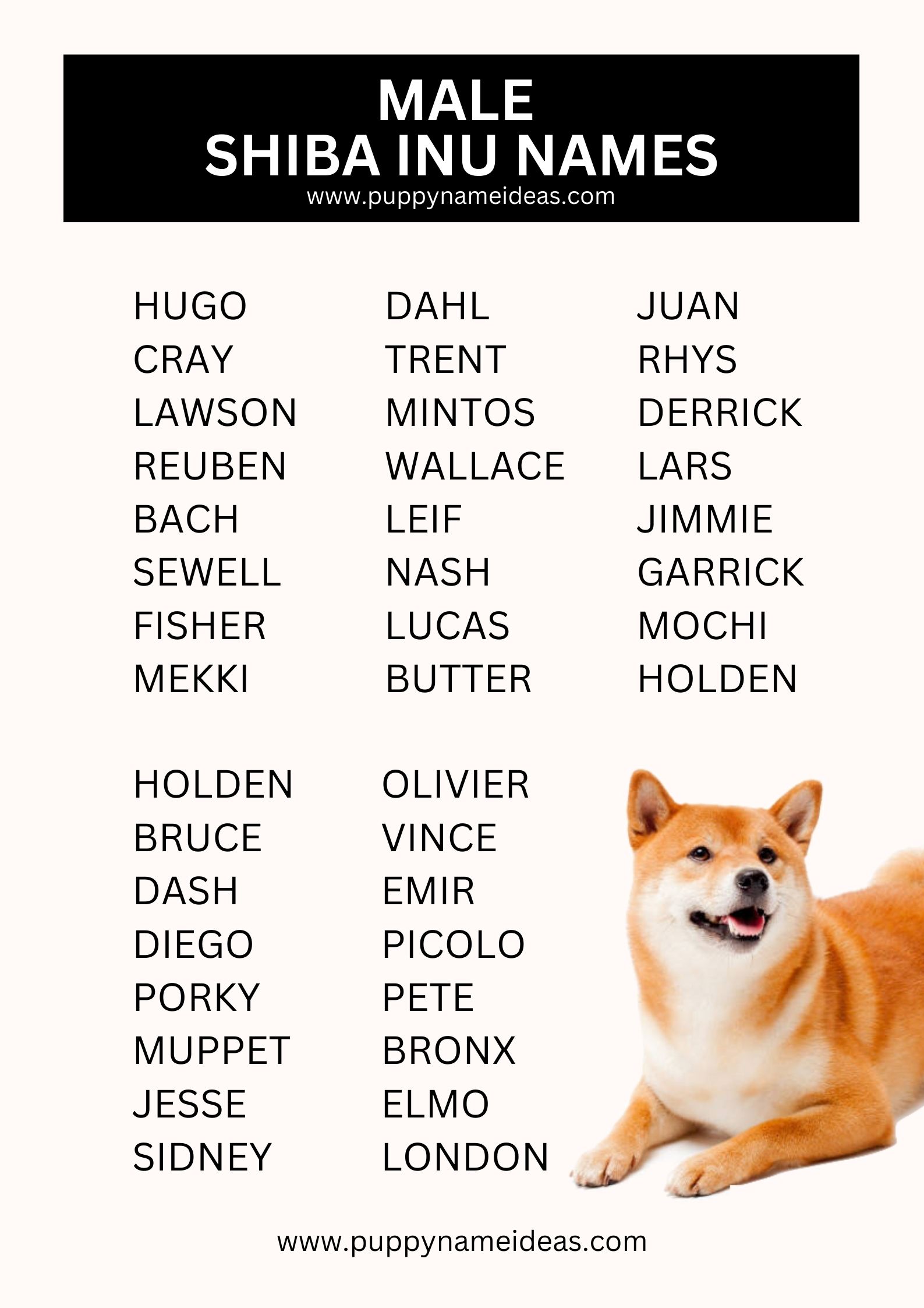 list of male shiba inu names