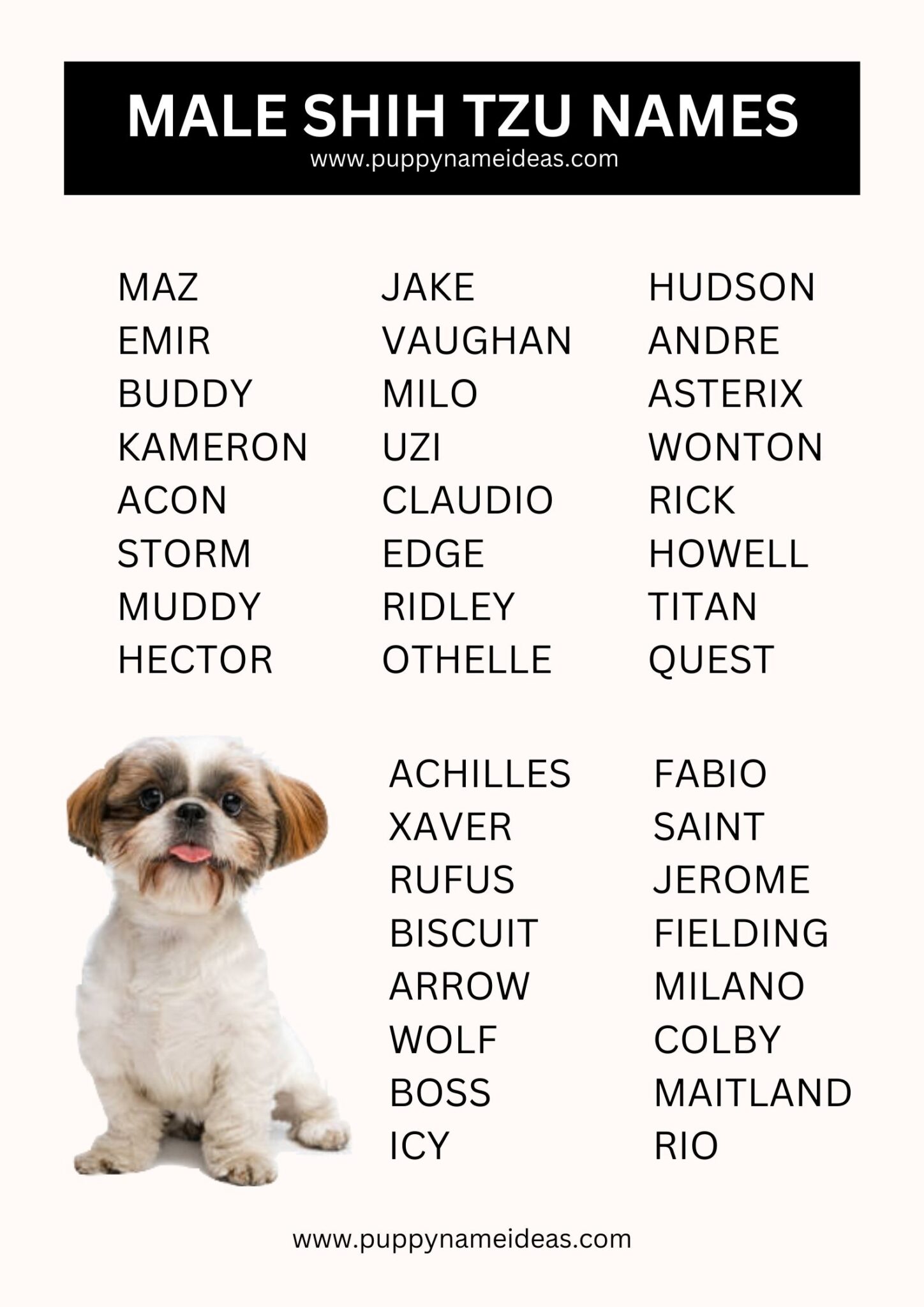 395+ Shih Tzu Names (With Meanings)