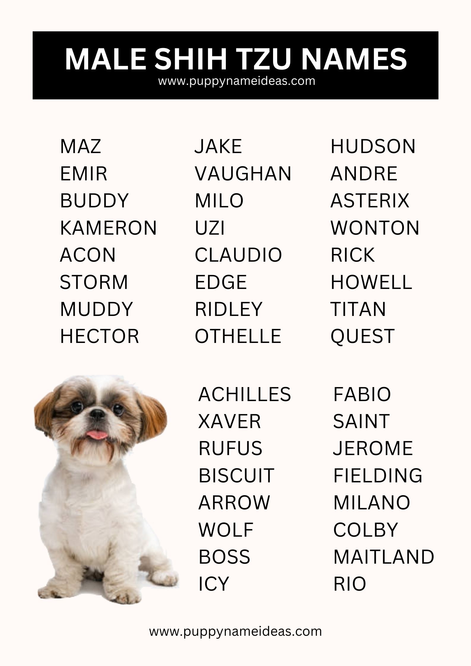 List Of Male Shih Tzu Names