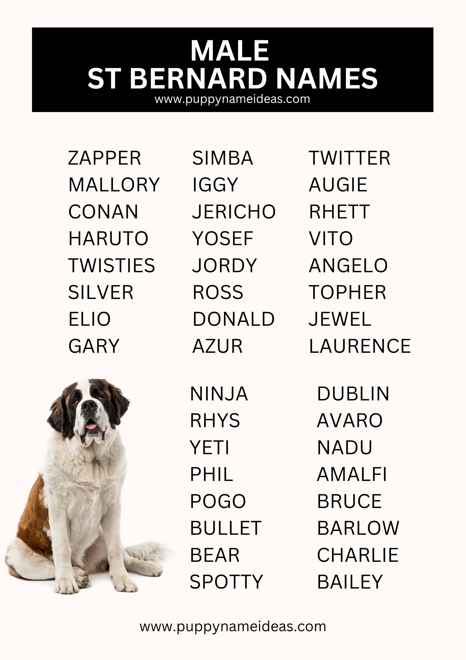 List Of Male St Bernard Names