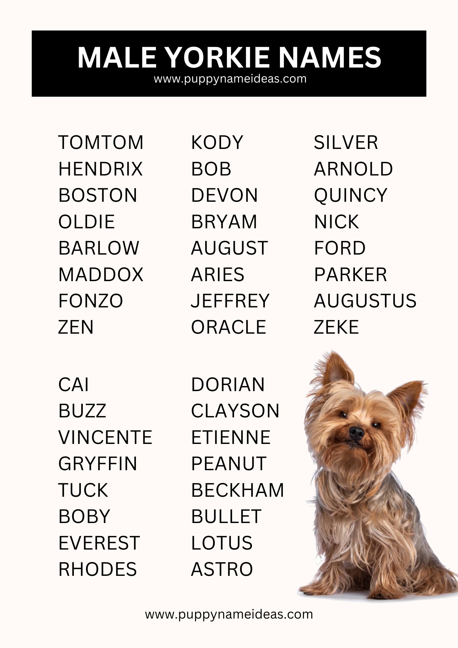 List Of Male Yorkie Names