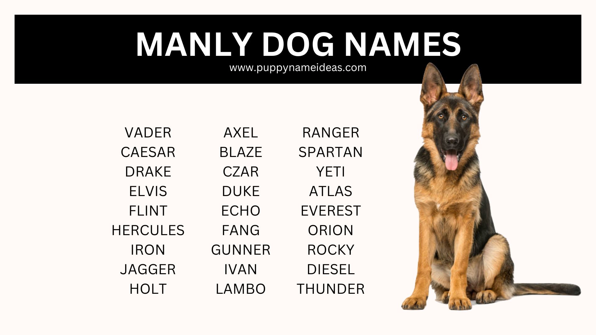 210+ Manly Dog Names