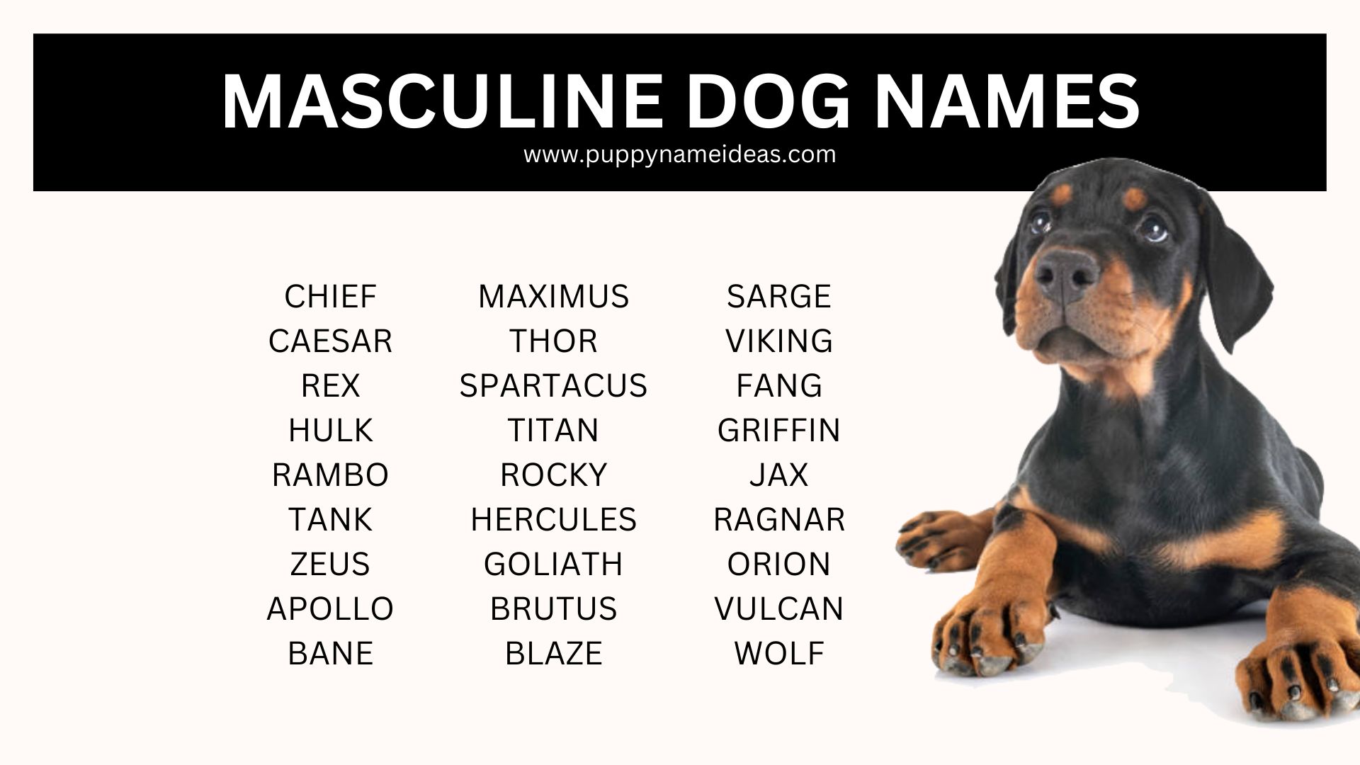 list of masculine dog names