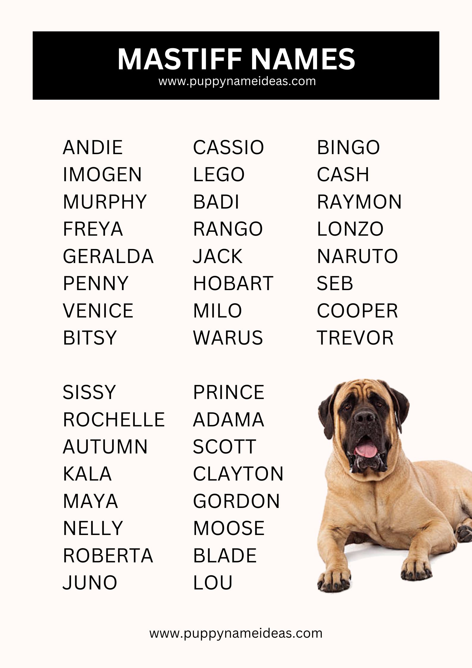 List Of Mastiff Names