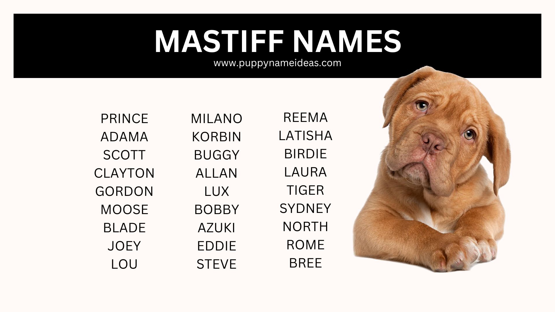 list of mastiff names