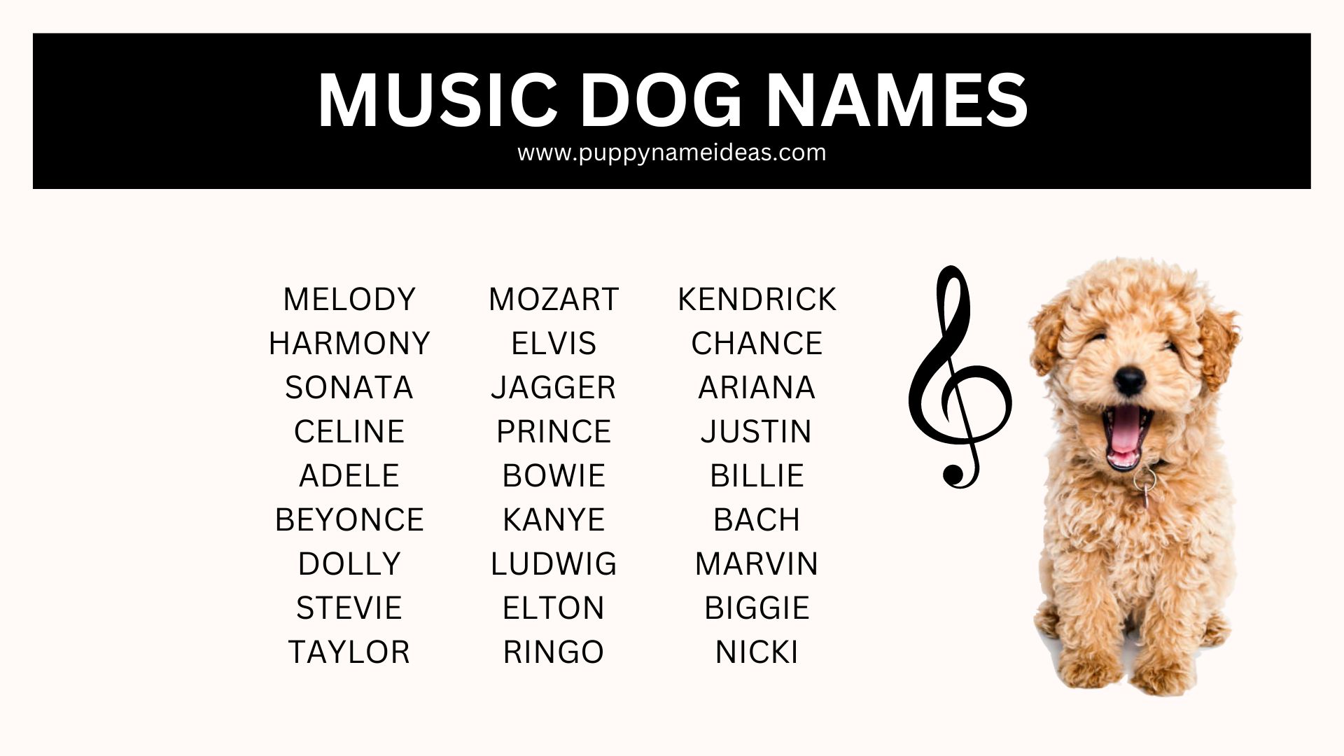 list of music dog names